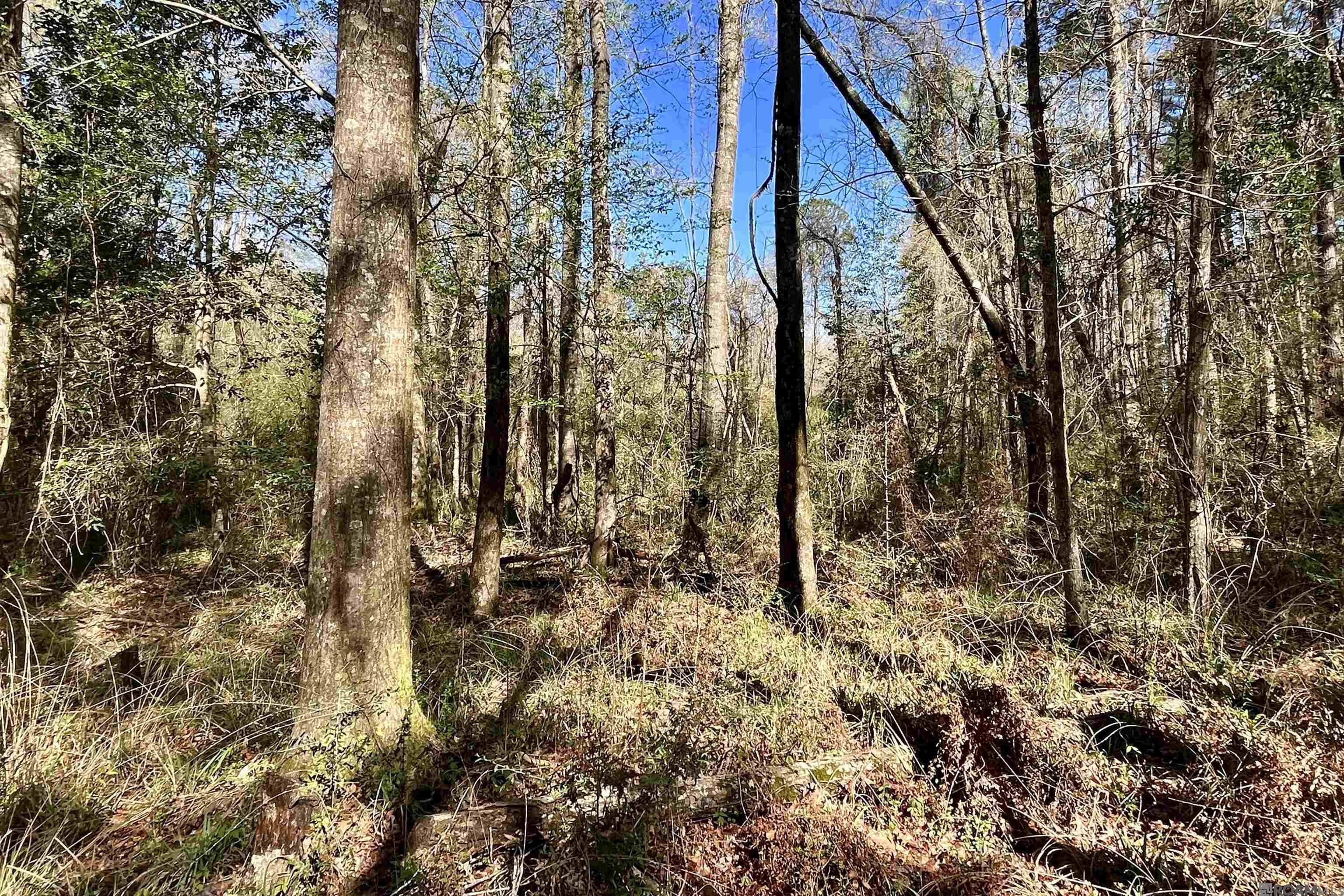 50 Hall And Lindsey Rd, Greensburg, LA, 70441