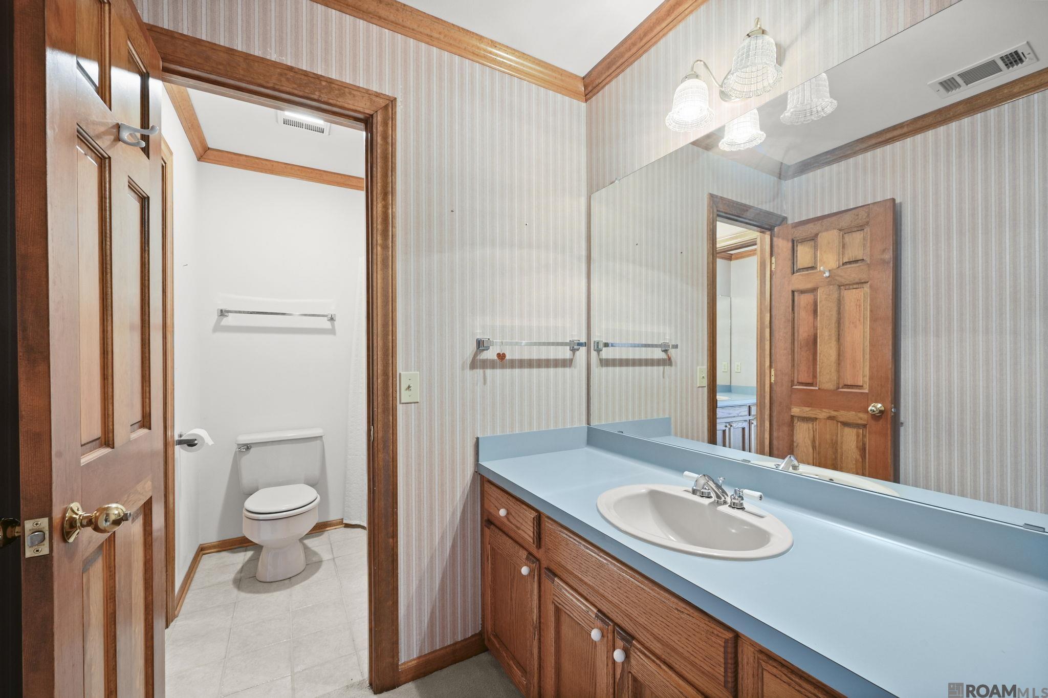 12511 S Lake Sherwood Ave, Baton Rouge, LA, 70816