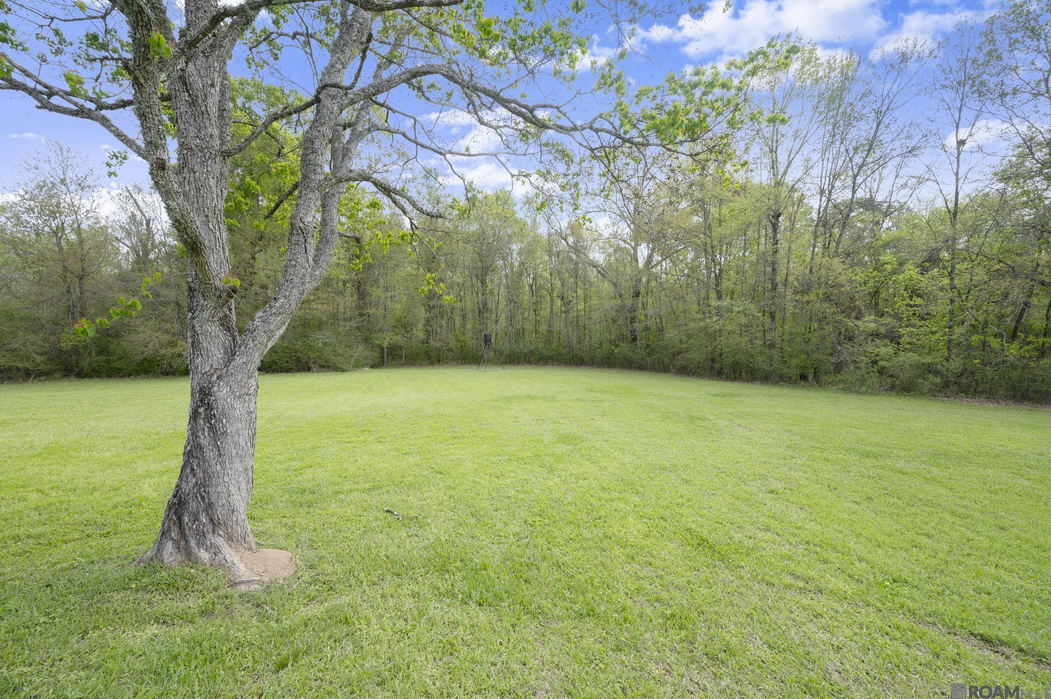 39478 Oceanview Ave, Prairieville, LA, 70769