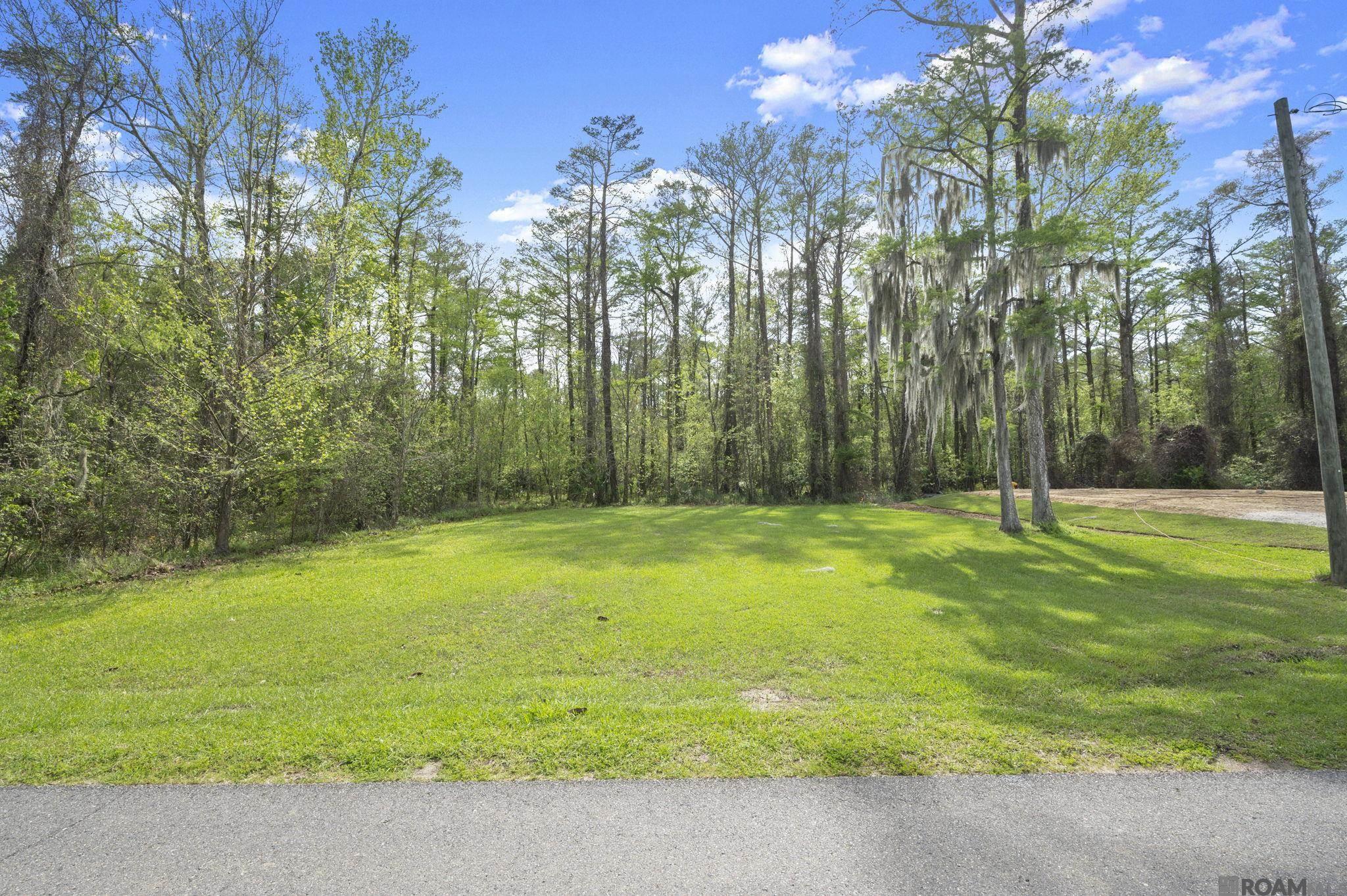 13224 Bayou Terrace Dr, St Amant, LA, 70774