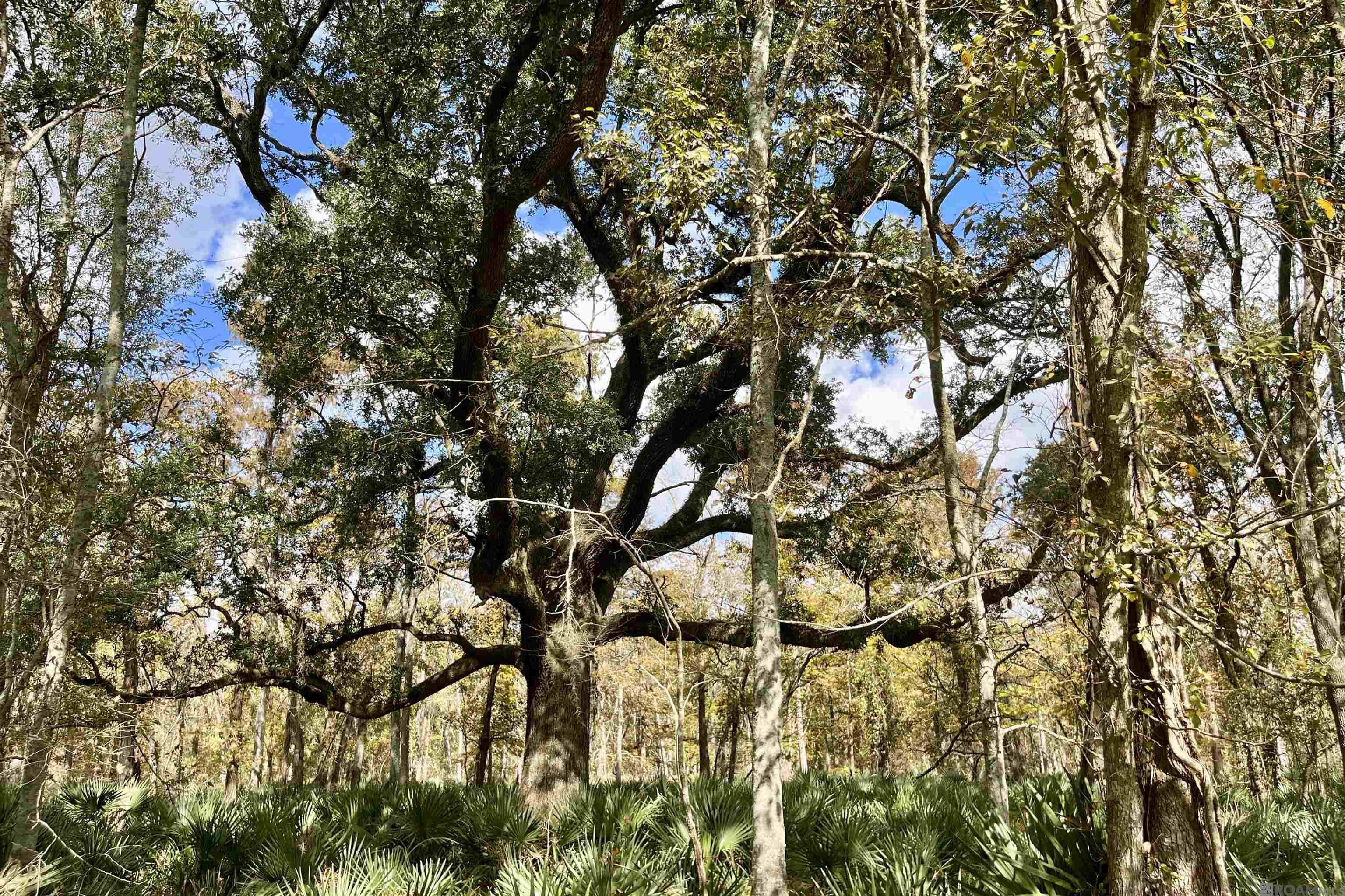 15 Manchac Rd, St Gabriel, LA, 70776