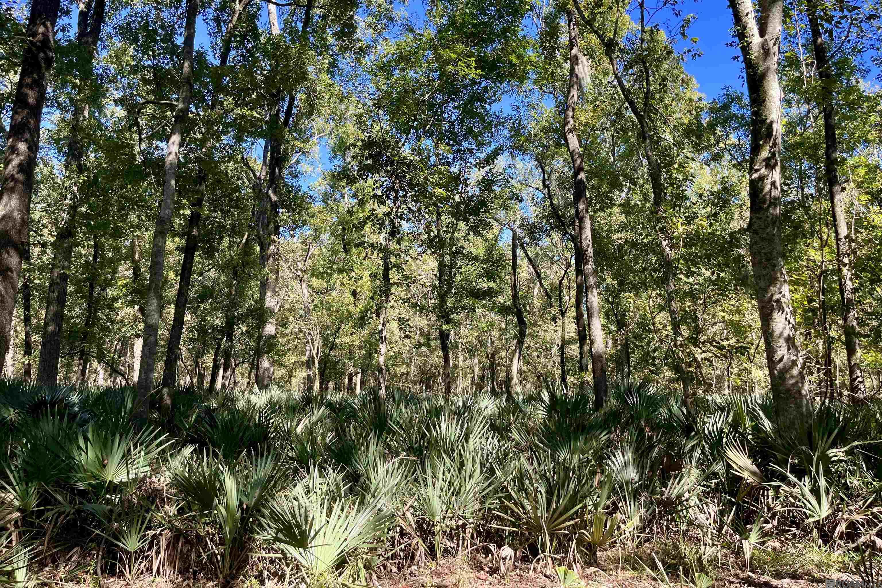 15 Manchac Rd, St Gabriel, LA, 70776