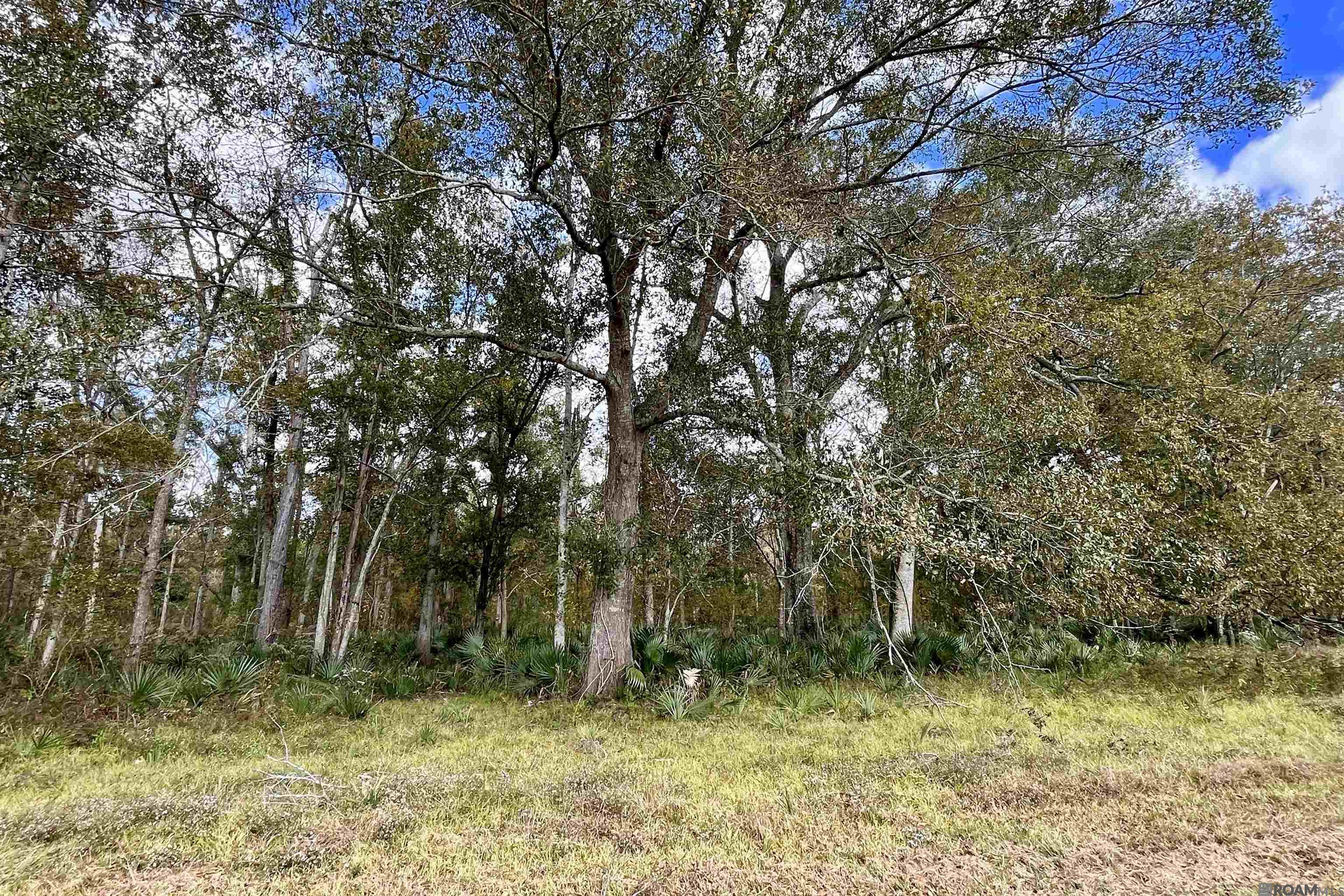 15 Manchac Rd, St Gabriel, LA, 70776