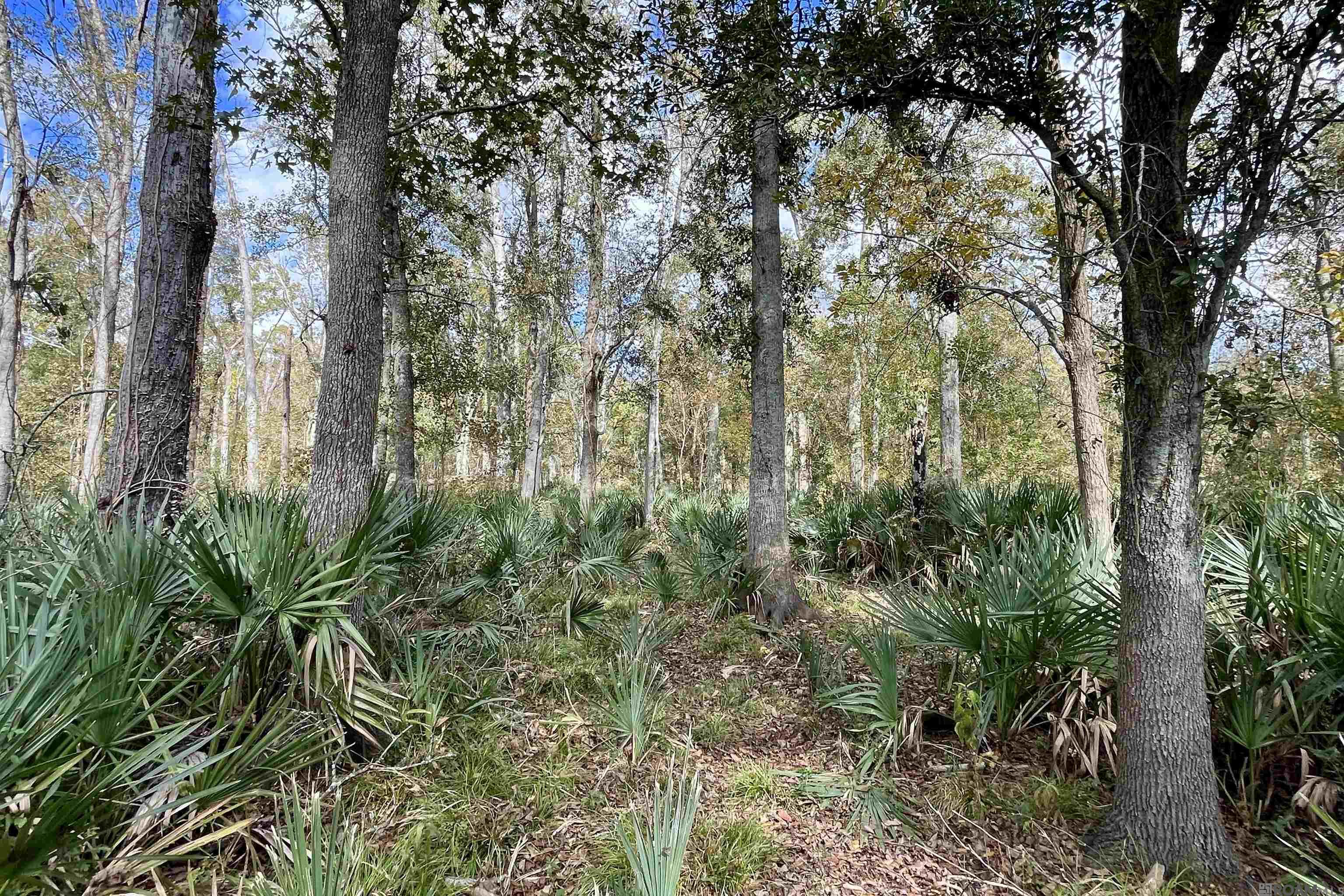 15 Manchac Rd, St Gabriel, LA, 70776