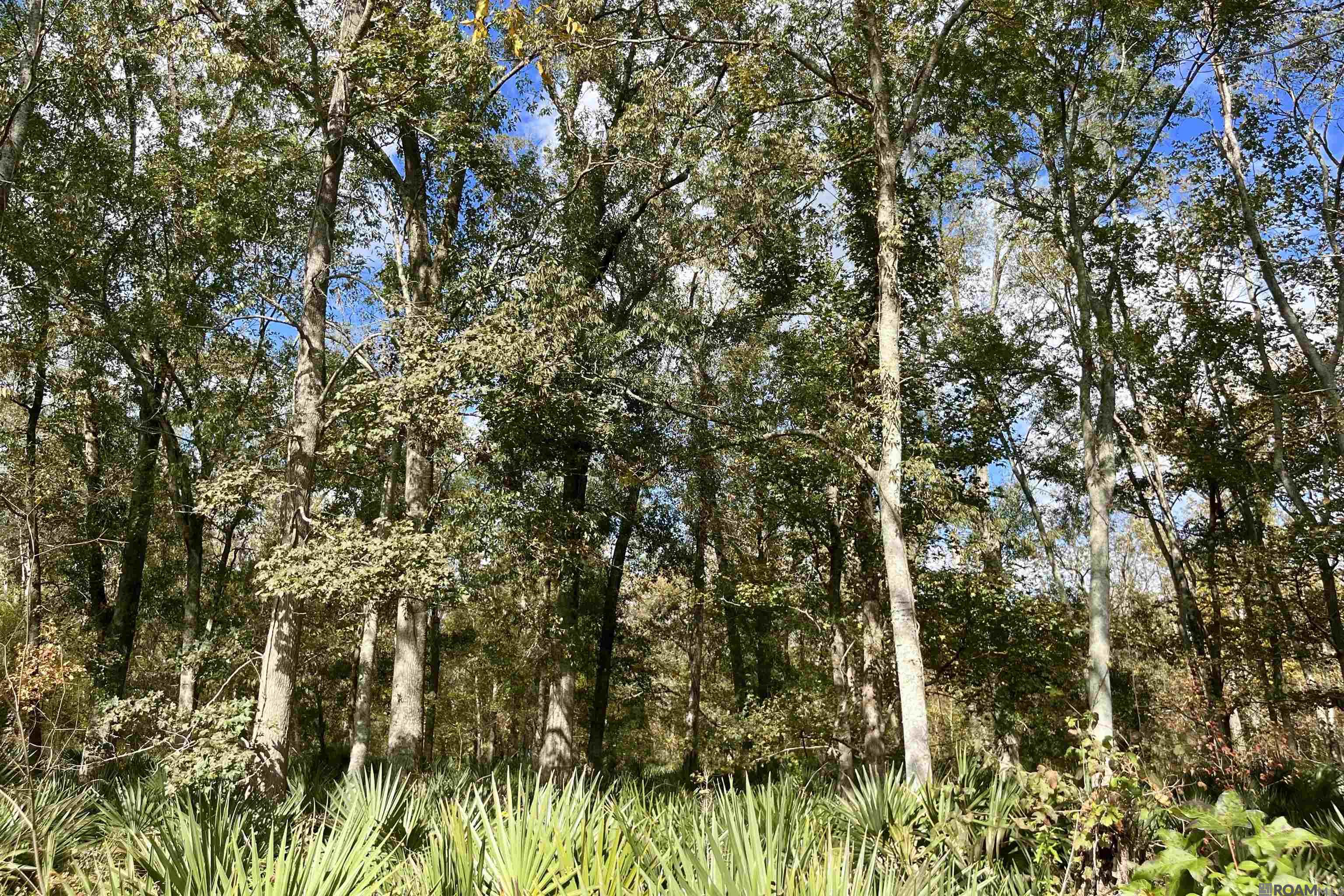 15 Manchac Rd, St Gabriel, LA, 70776