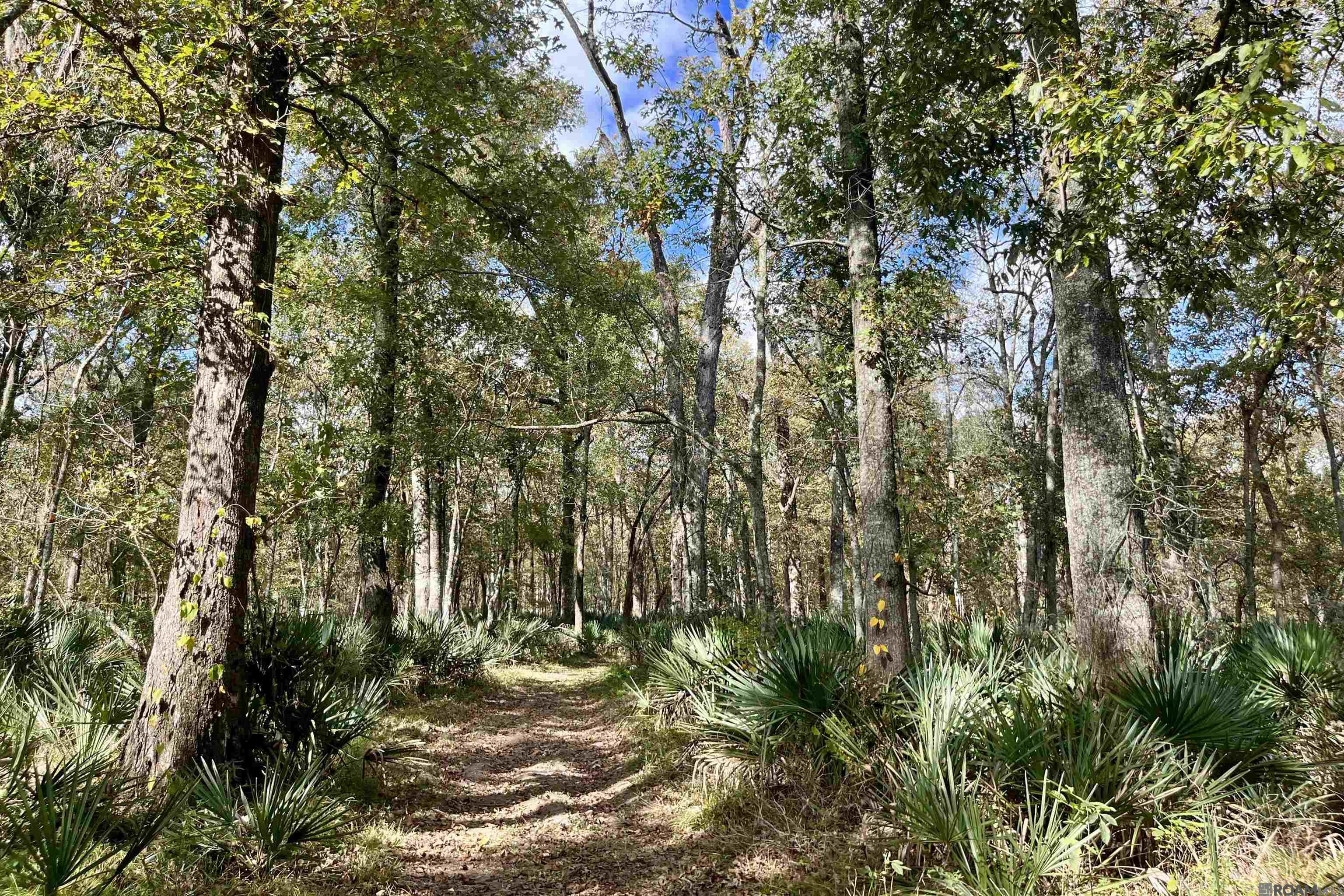 15 Manchac Rd, St Gabriel, LA, 70776