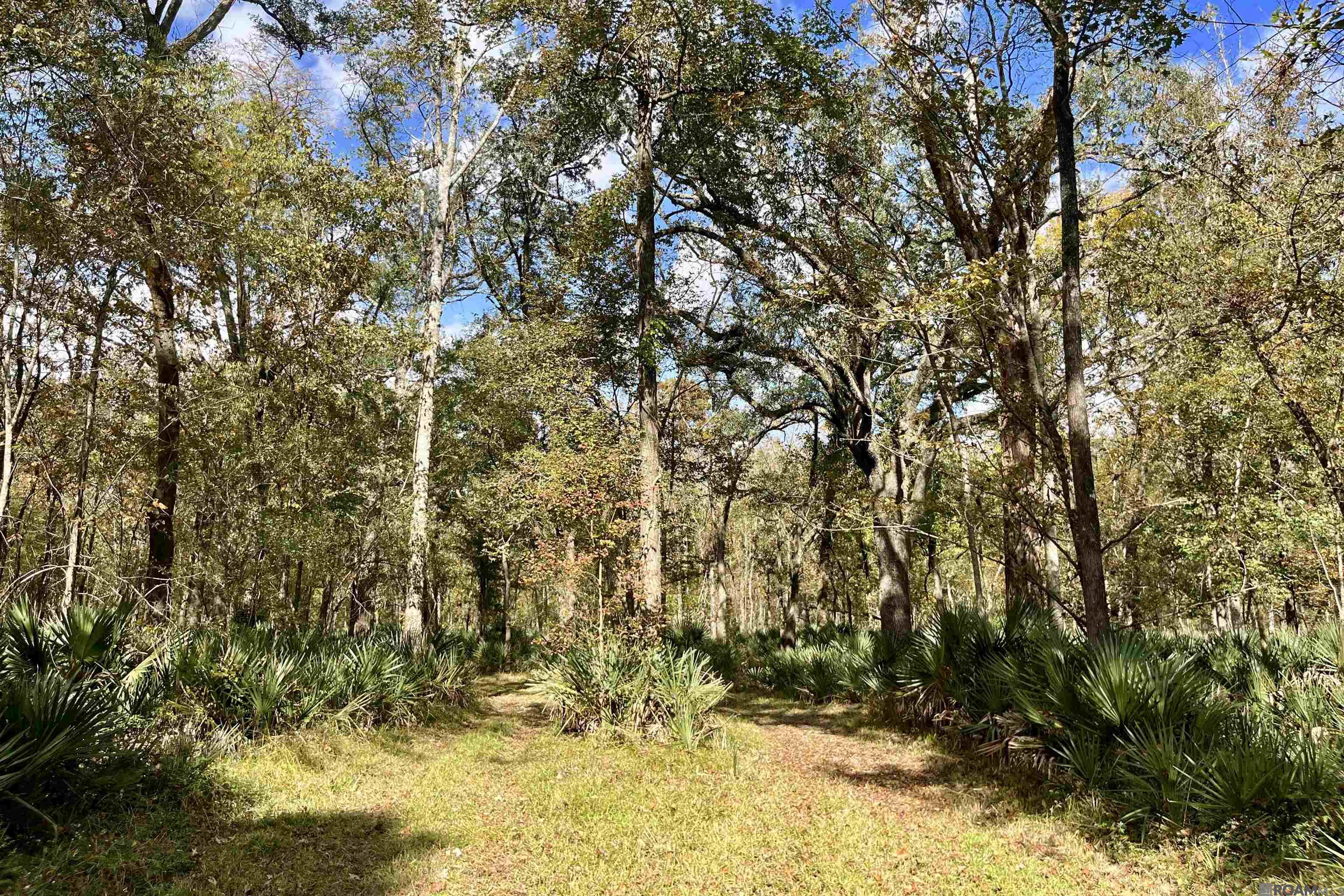 15 Manchac Rd, St Gabriel, LA, 70776