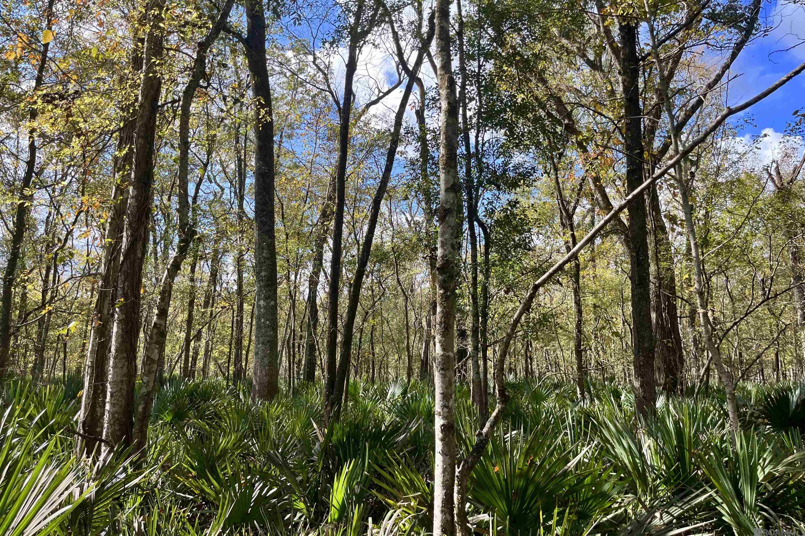 15 Manchac Rd, St Gabriel, LA, 70776