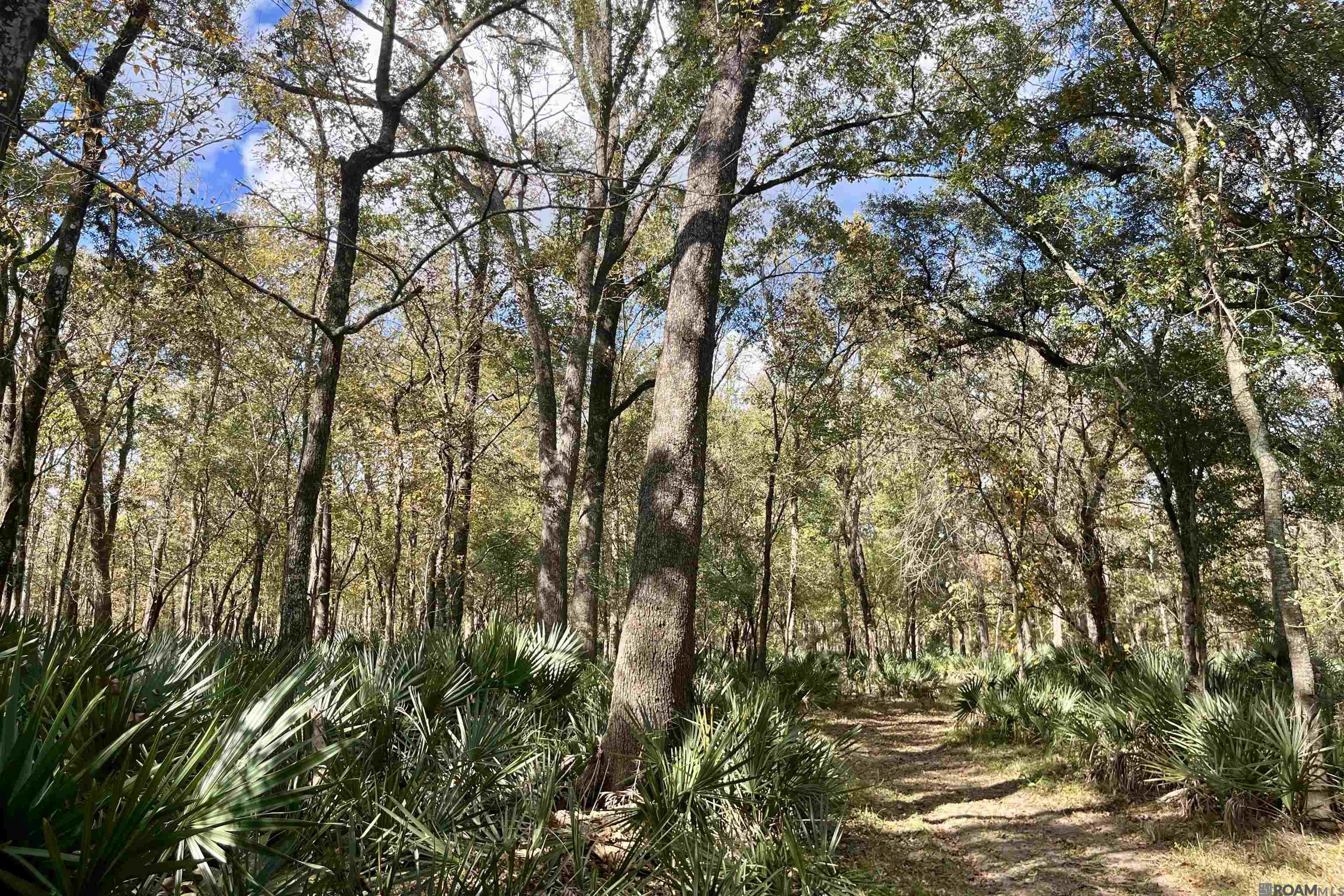 15 Manchac Rd, St Gabriel, LA, 70776