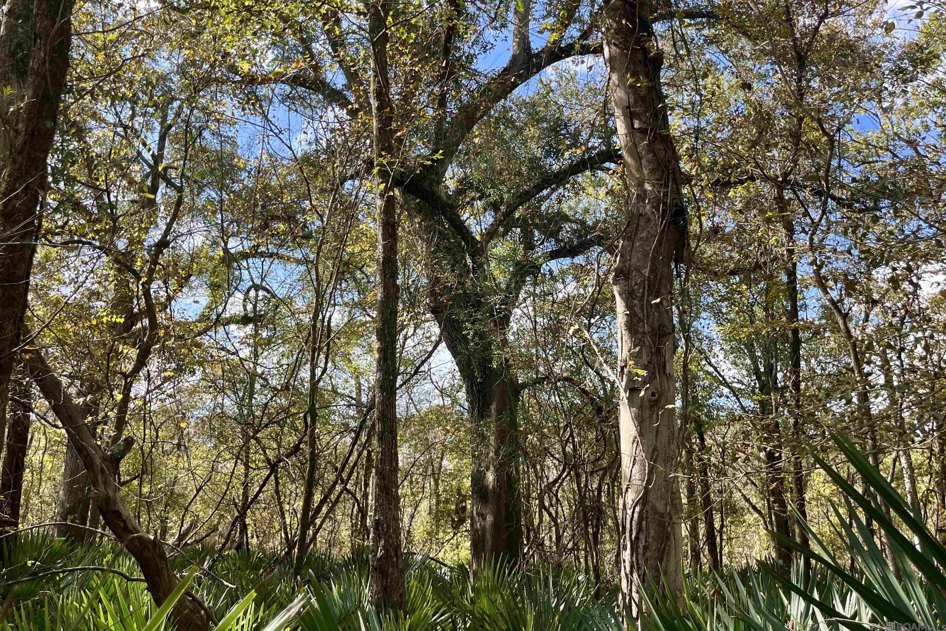 15 Manchac Rd, St Gabriel, LA, 70776