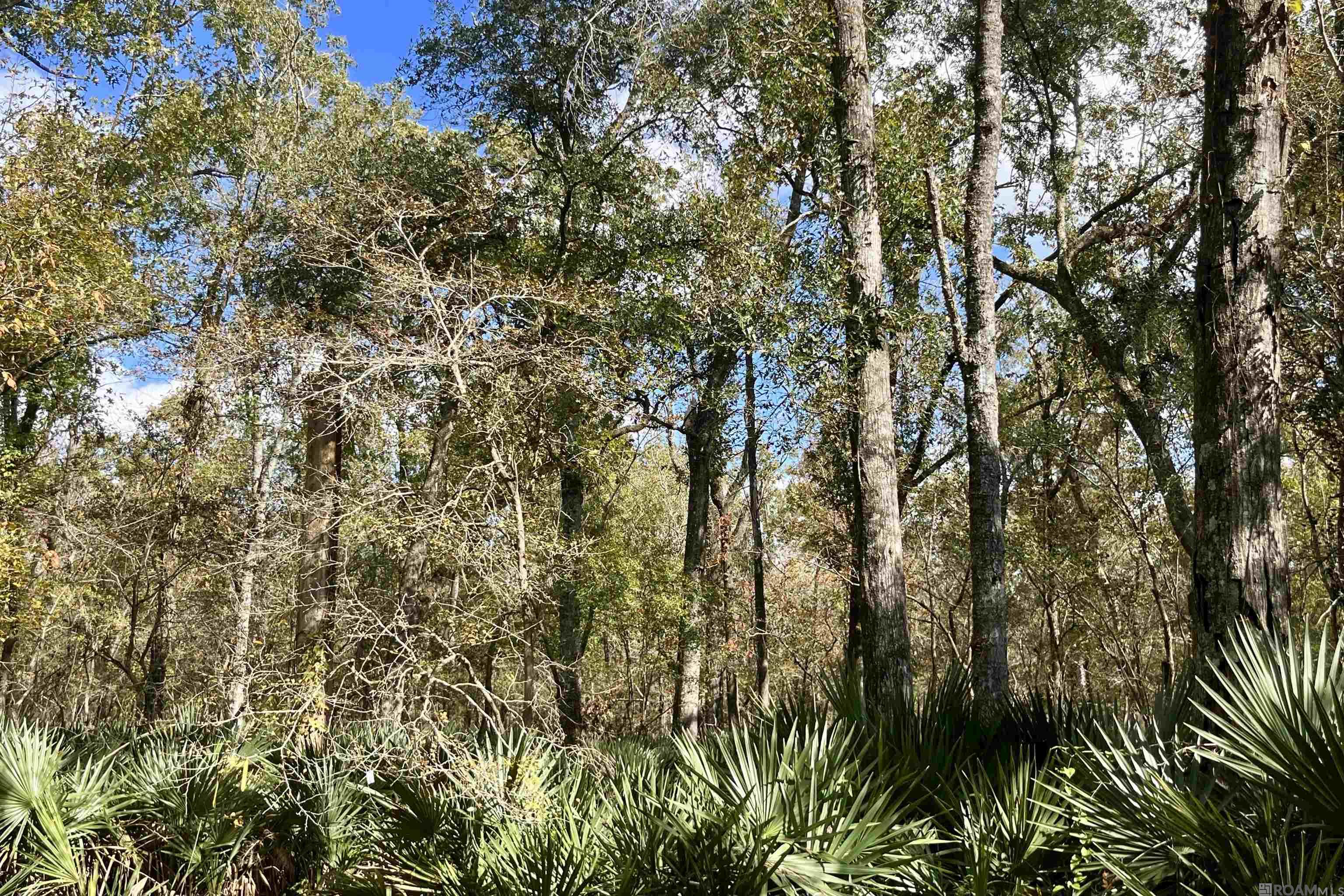 15 Manchac Rd, St Gabriel, LA, 70776