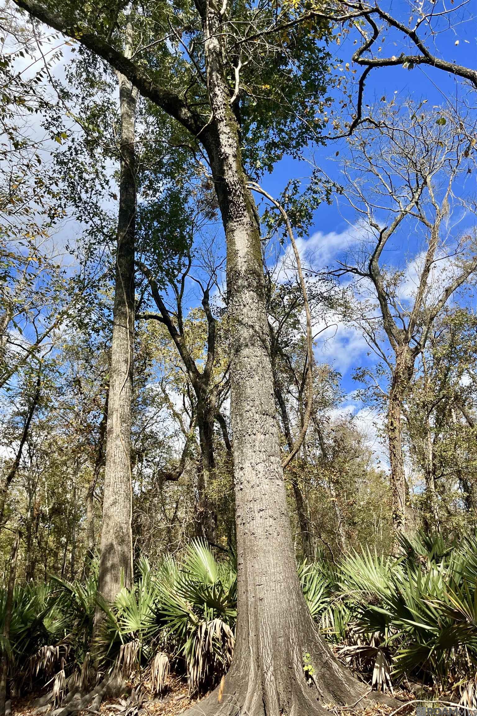 15 Manchac Rd, St Gabriel, LA, 70776