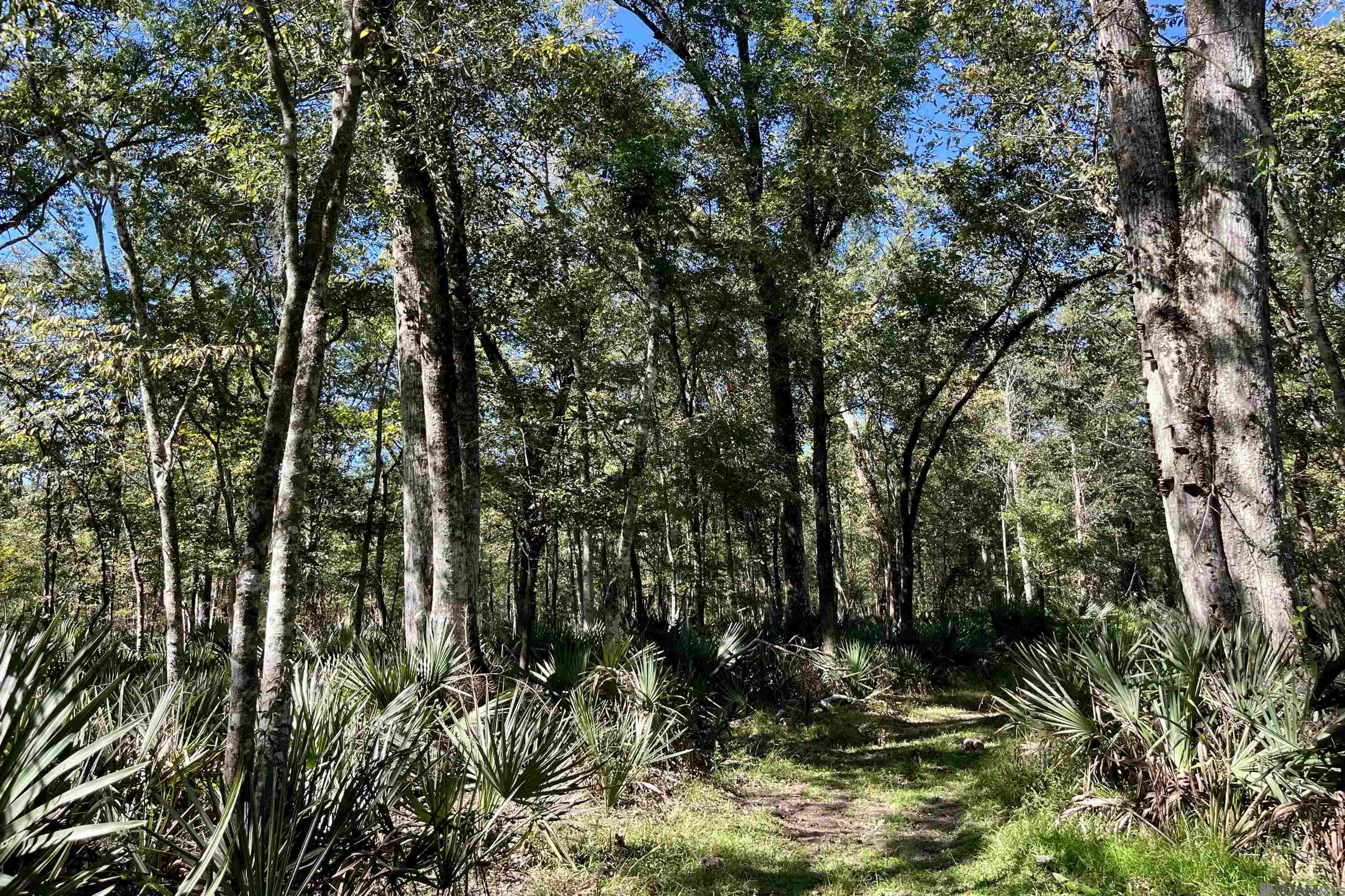 15 Manchac Rd, St Gabriel, LA, 70776