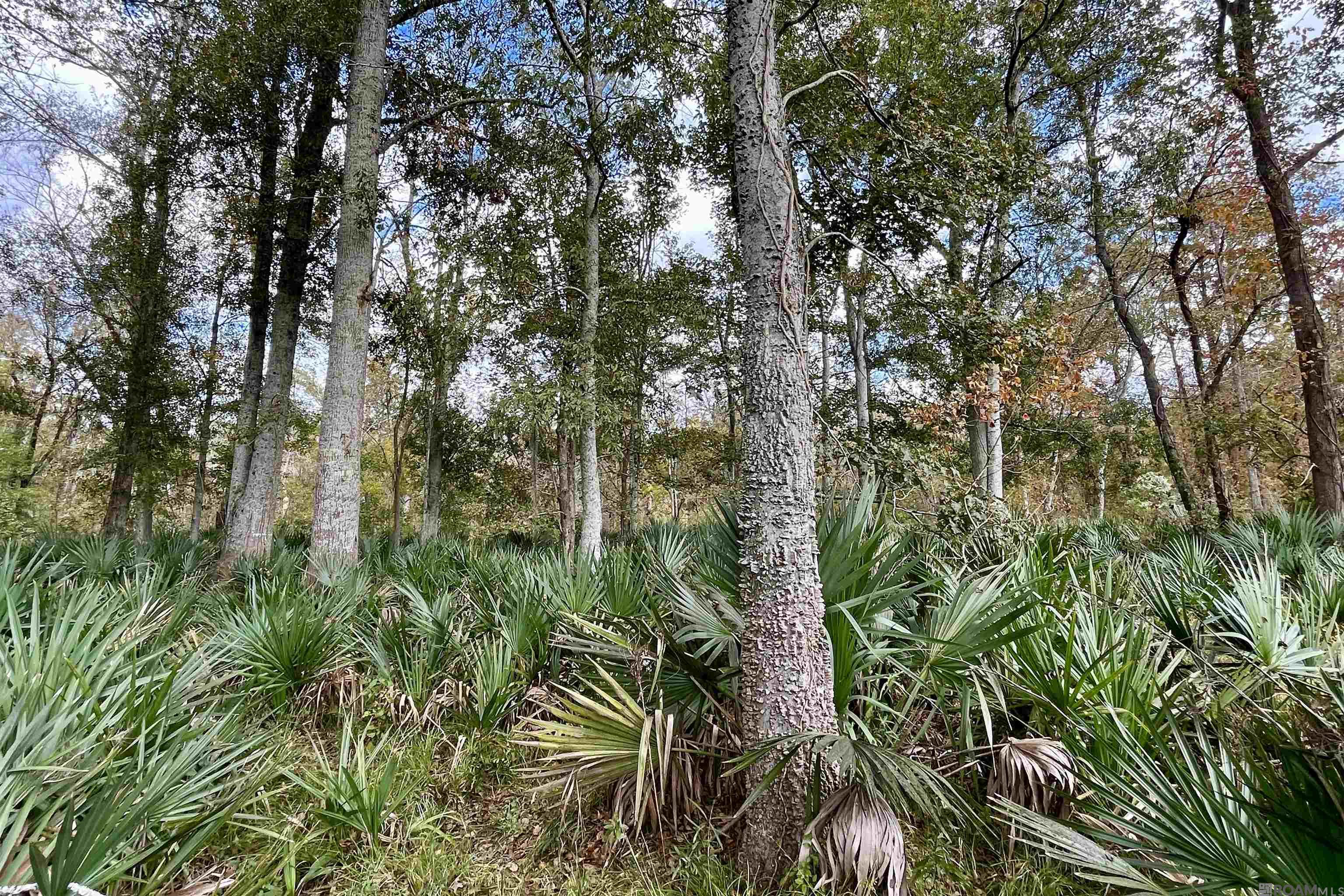 15 Manchac Rd, St Gabriel, LA, 70776