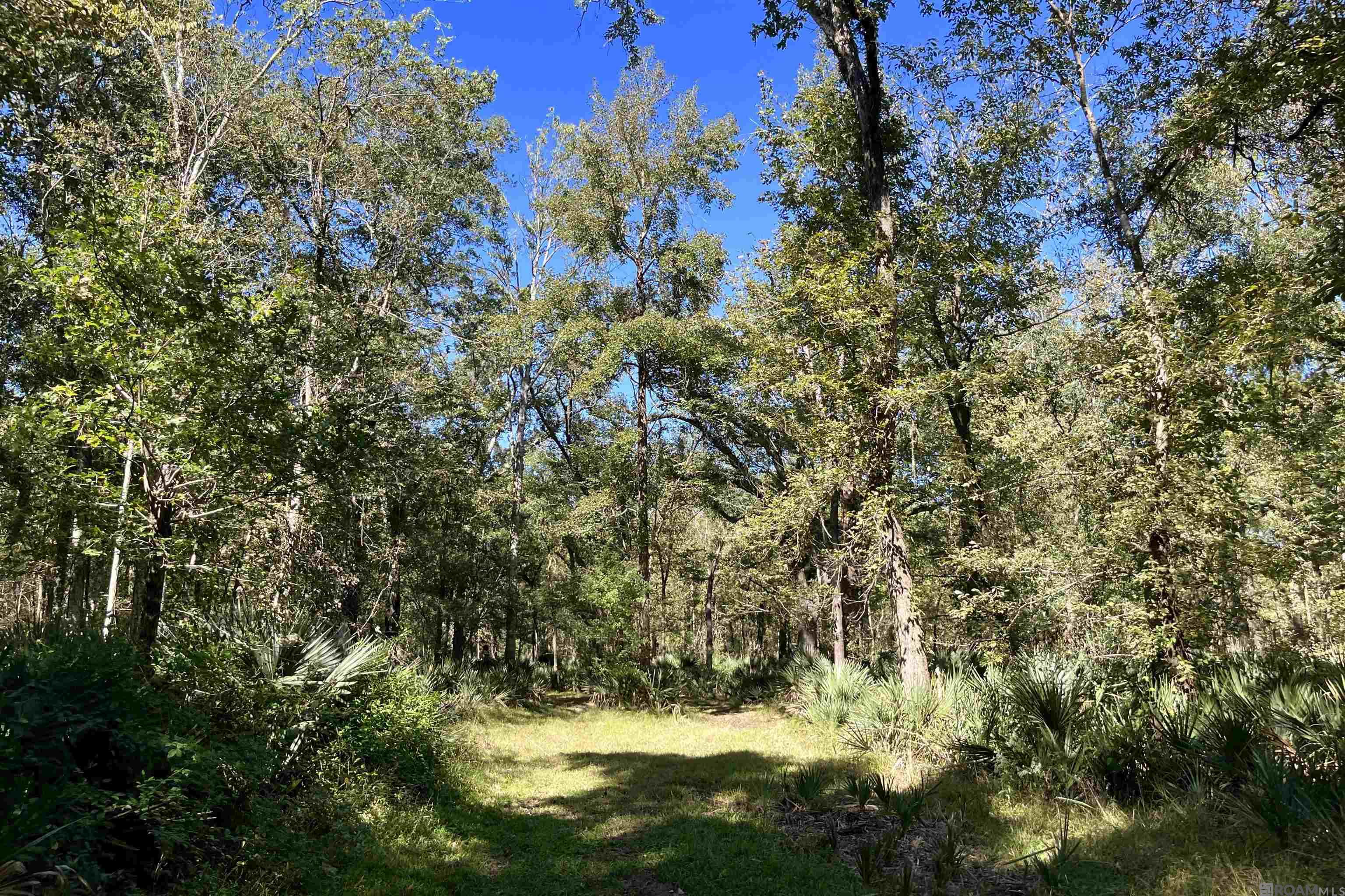 15 Manchac Rd, St Gabriel, LA, 70776