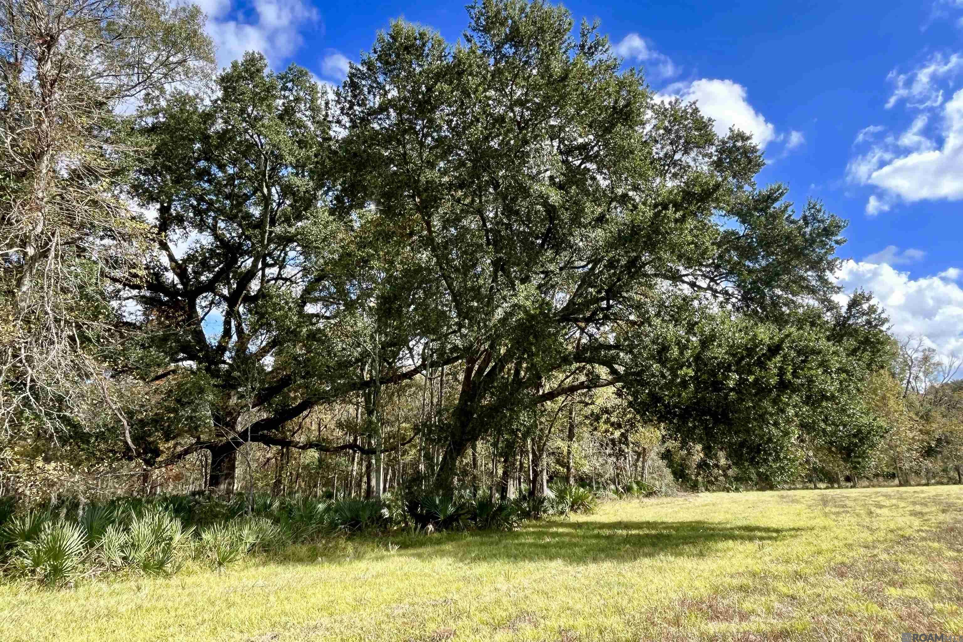 15 Manchac Rd, St Gabriel, LA, 70776