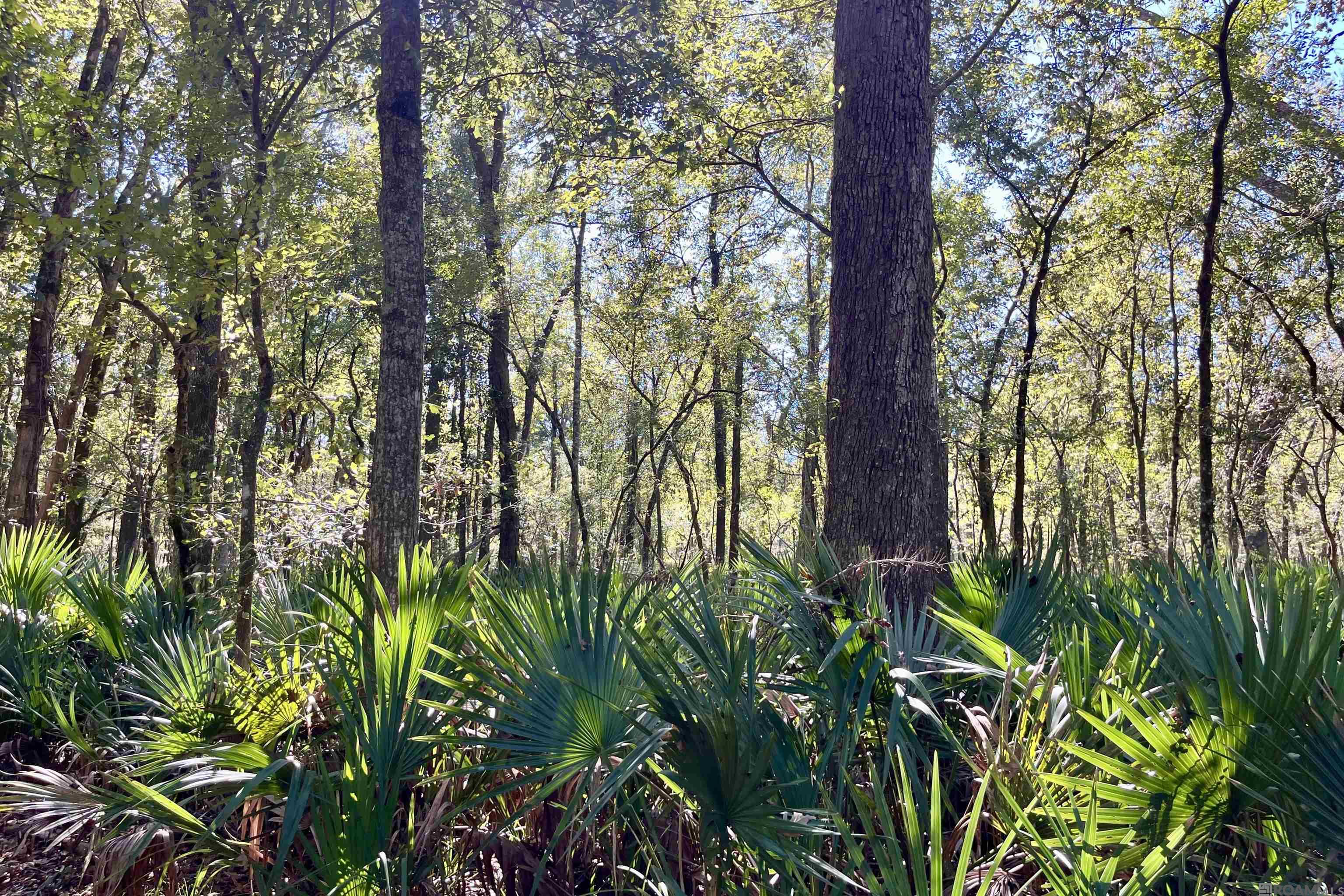 15 Manchac Rd, St Gabriel, LA, 70776