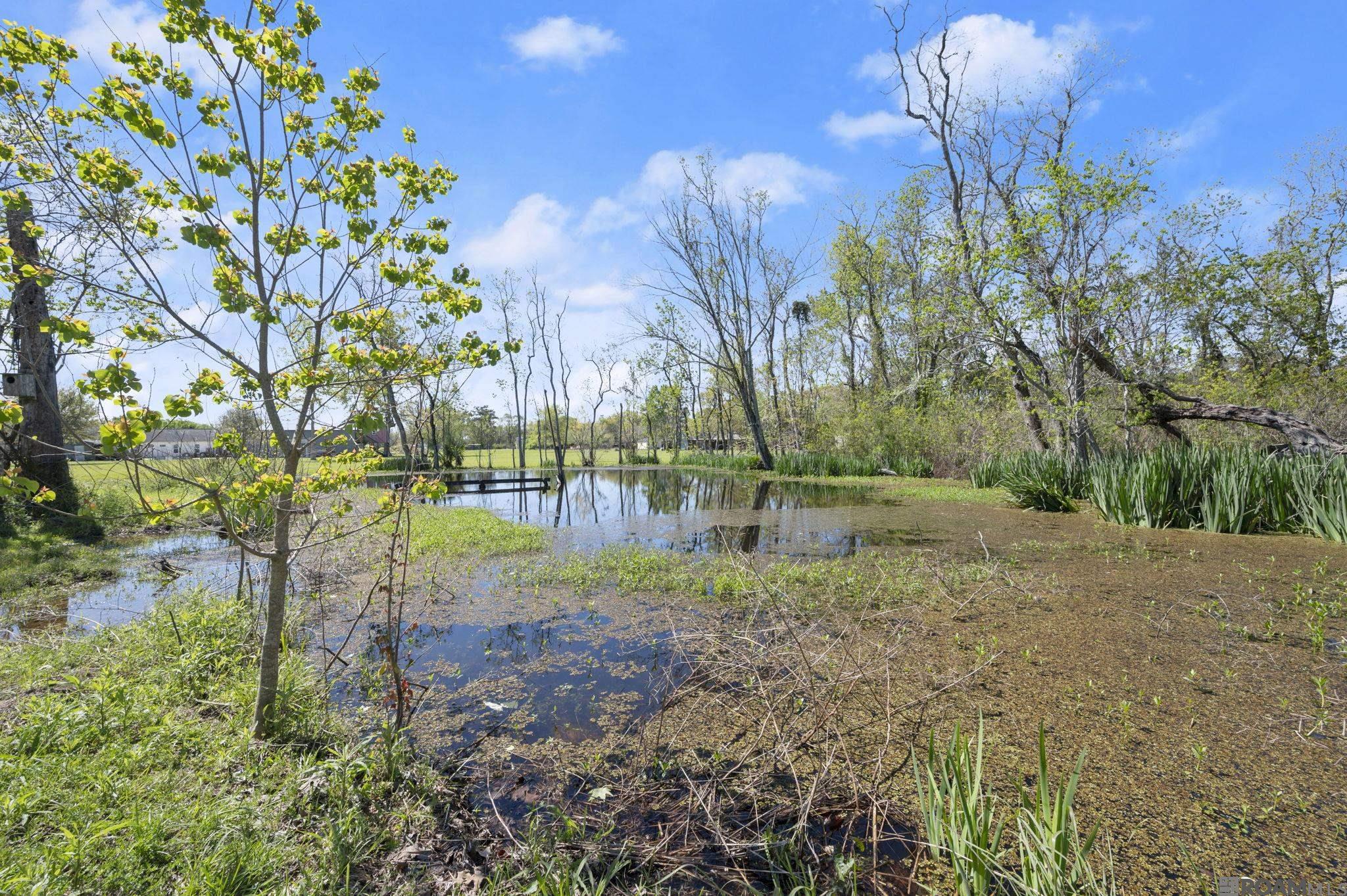 12417 Roddy Rd, Gonzales, LA, 70737