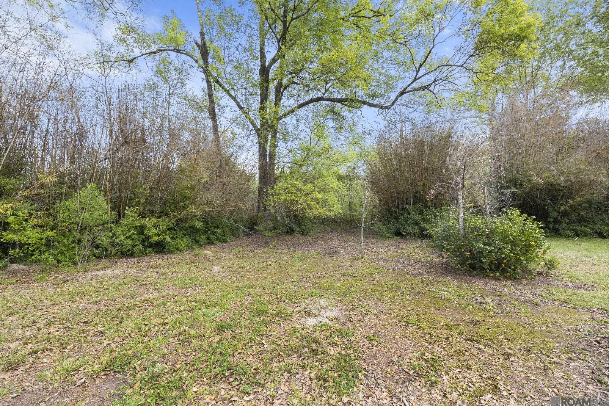 25482 Poirrier Ln, Denham Springs, LA, 70706