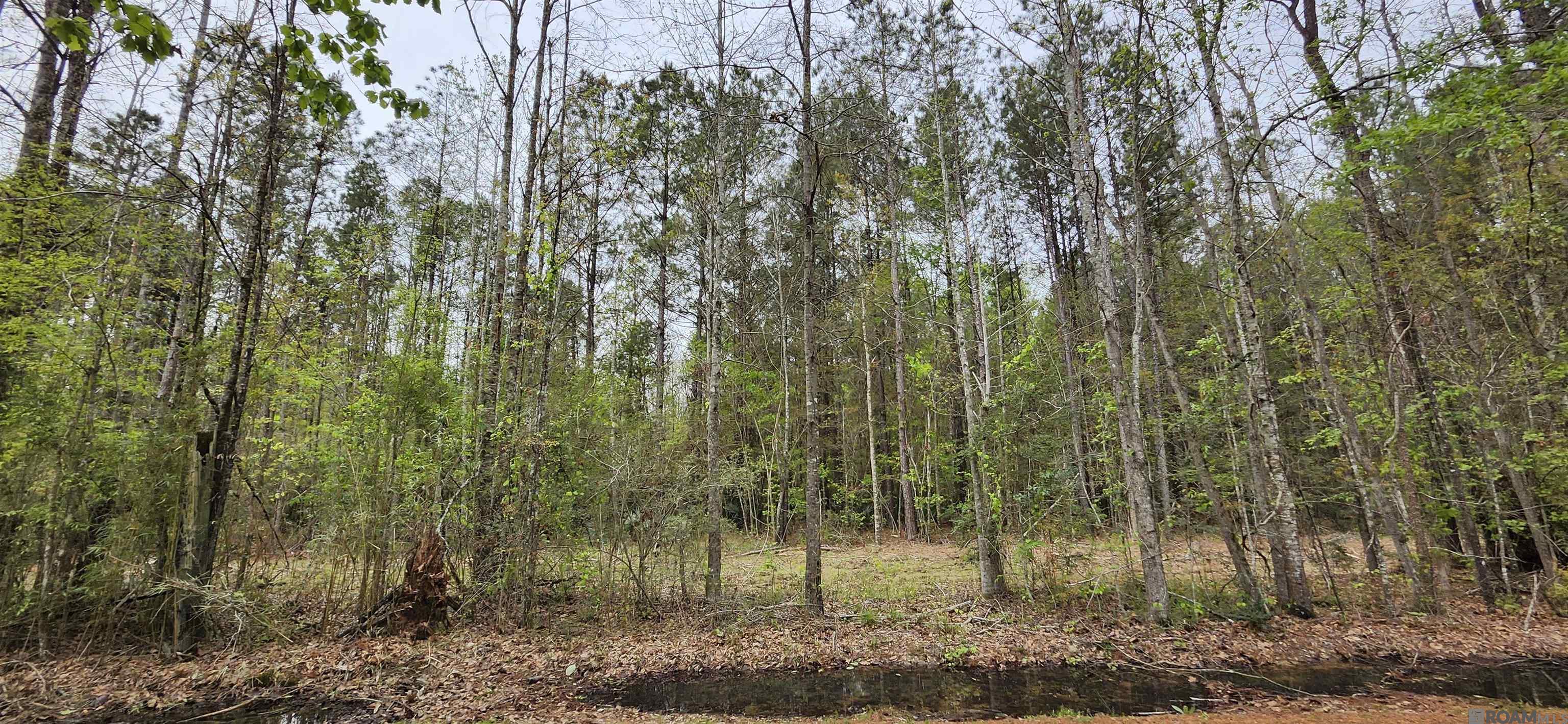 Lot C-1 Jessie Sibley Rd, Walker, LA, 70785