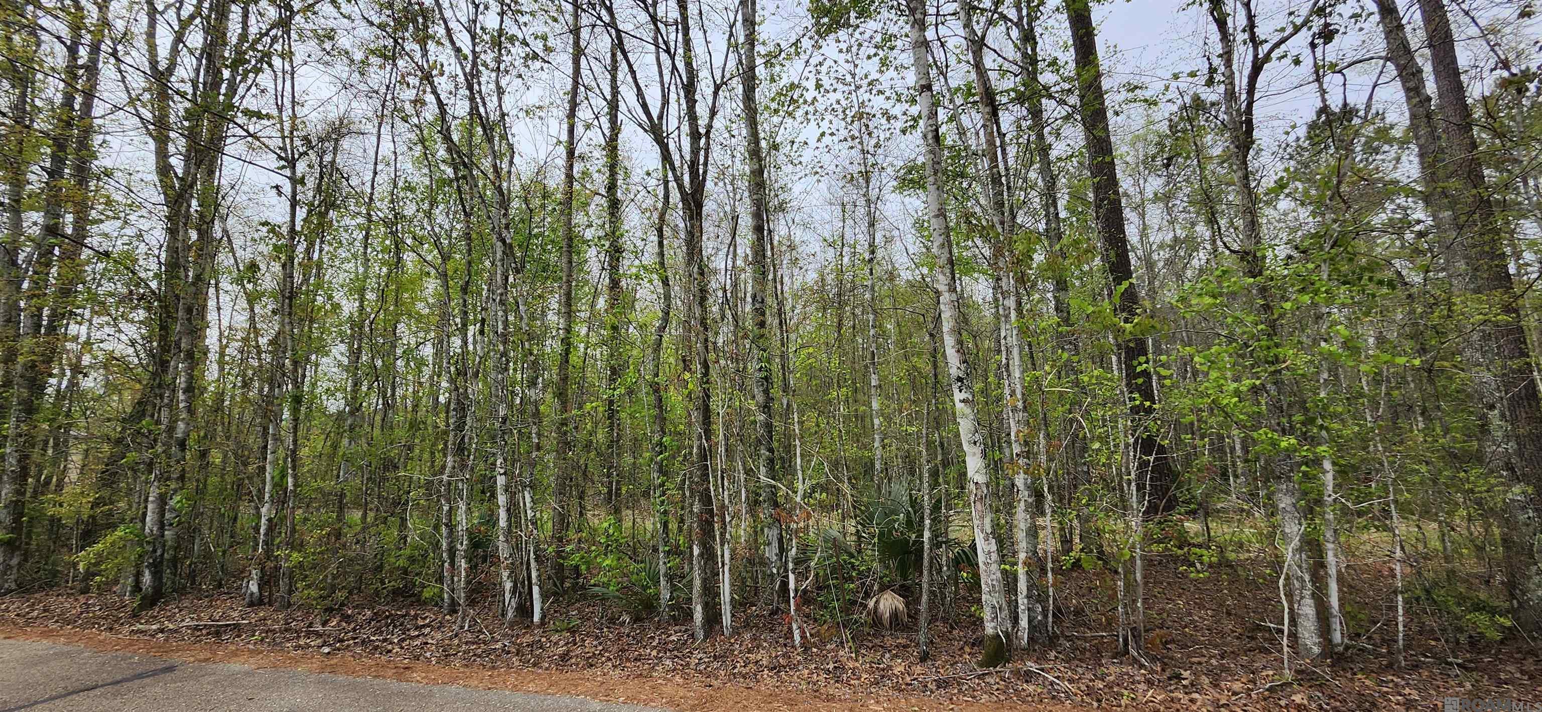 Lot C-1 Jessie Sibley Rd, Walker, LA, 70785