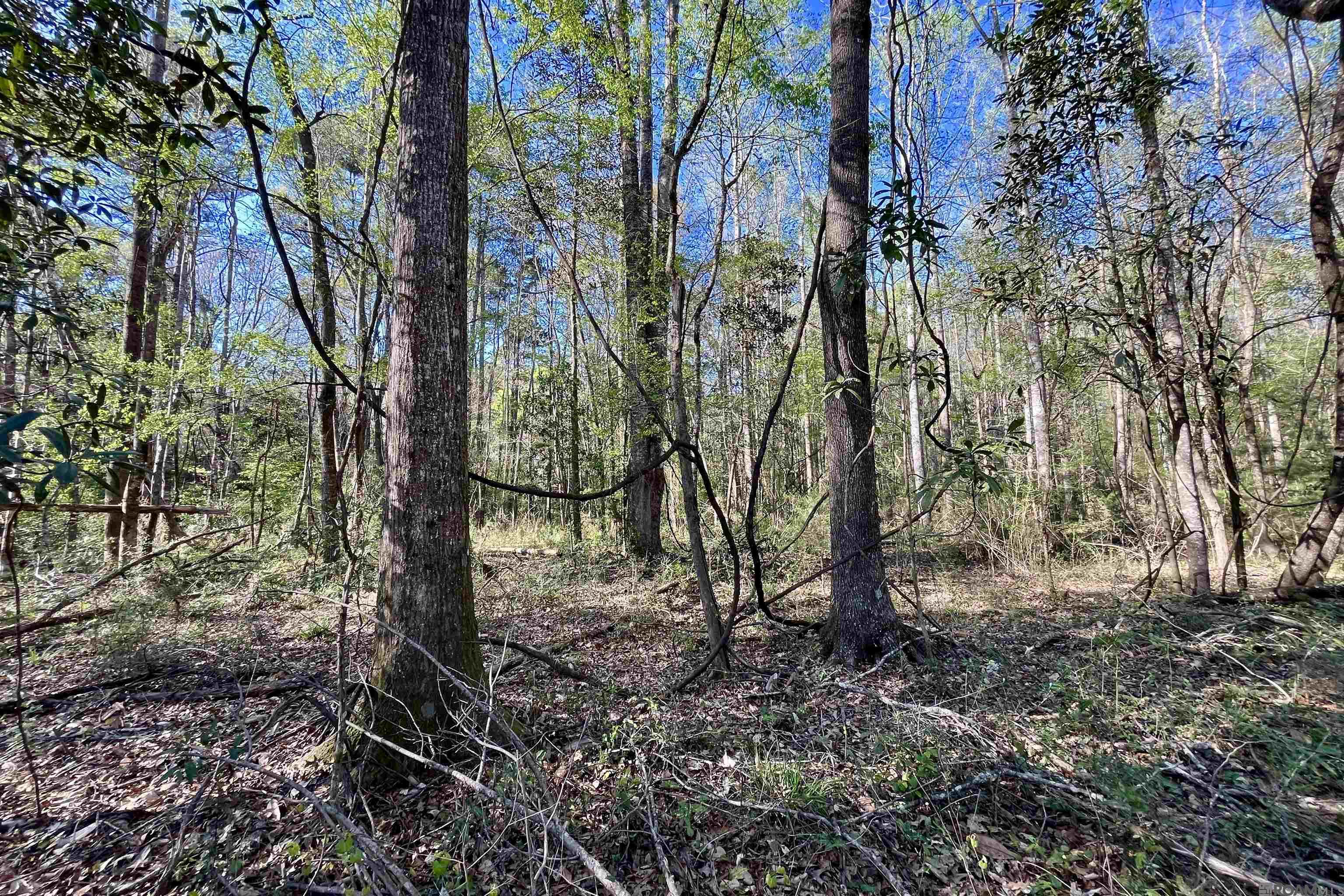 LOT H-3 West Park Avenue, Gray, LA, 70359