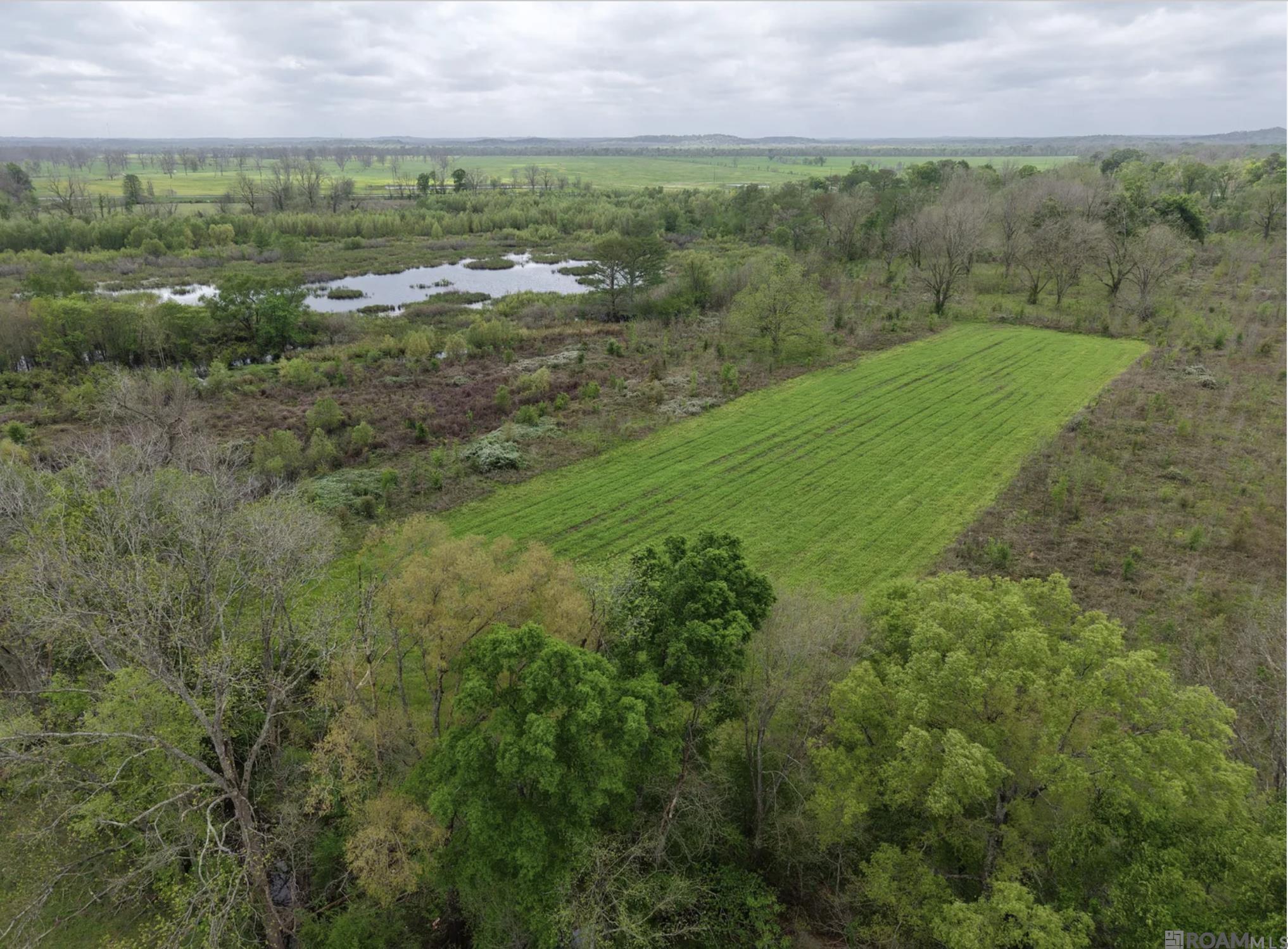 21 N Stately Oaks Dr, Saint George, LA, 70810