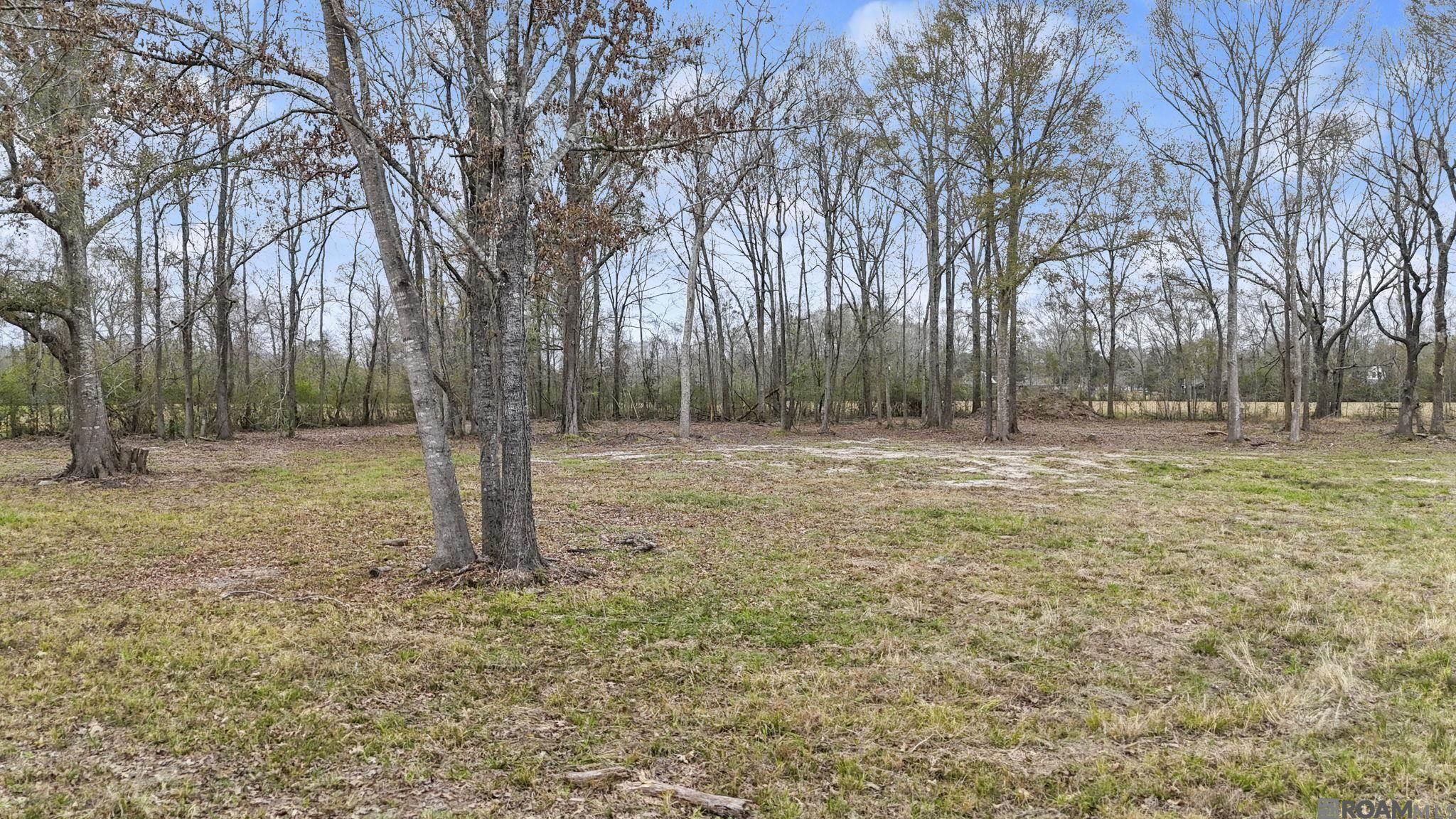 10482 Summerside Dr, Baker, LA, 70714