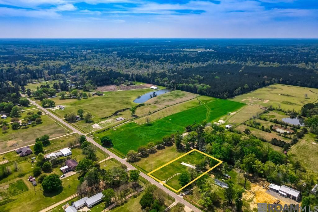 21139 Chaney Rd, Zachary, LA, 70791