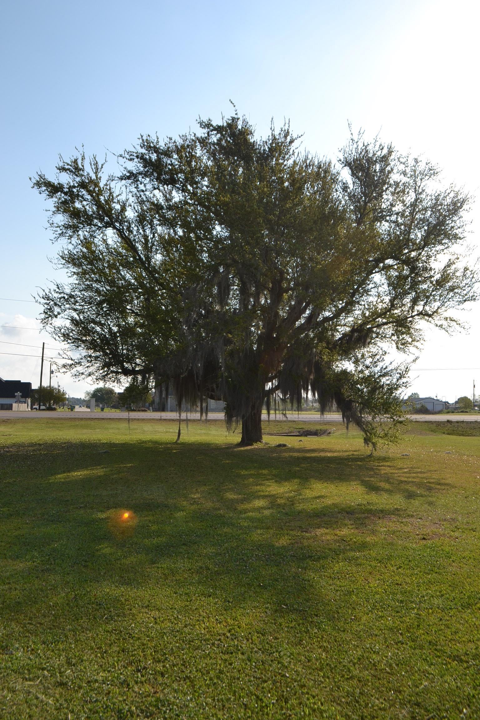 14520 La Hwy 3235, Cut Off, LA, 70345