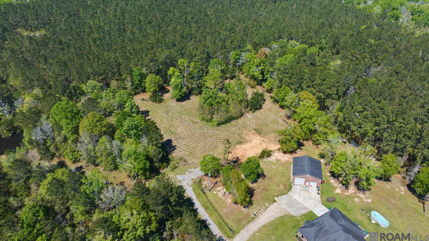 19779 Craig Mack Rd, Walker, LA, 70785