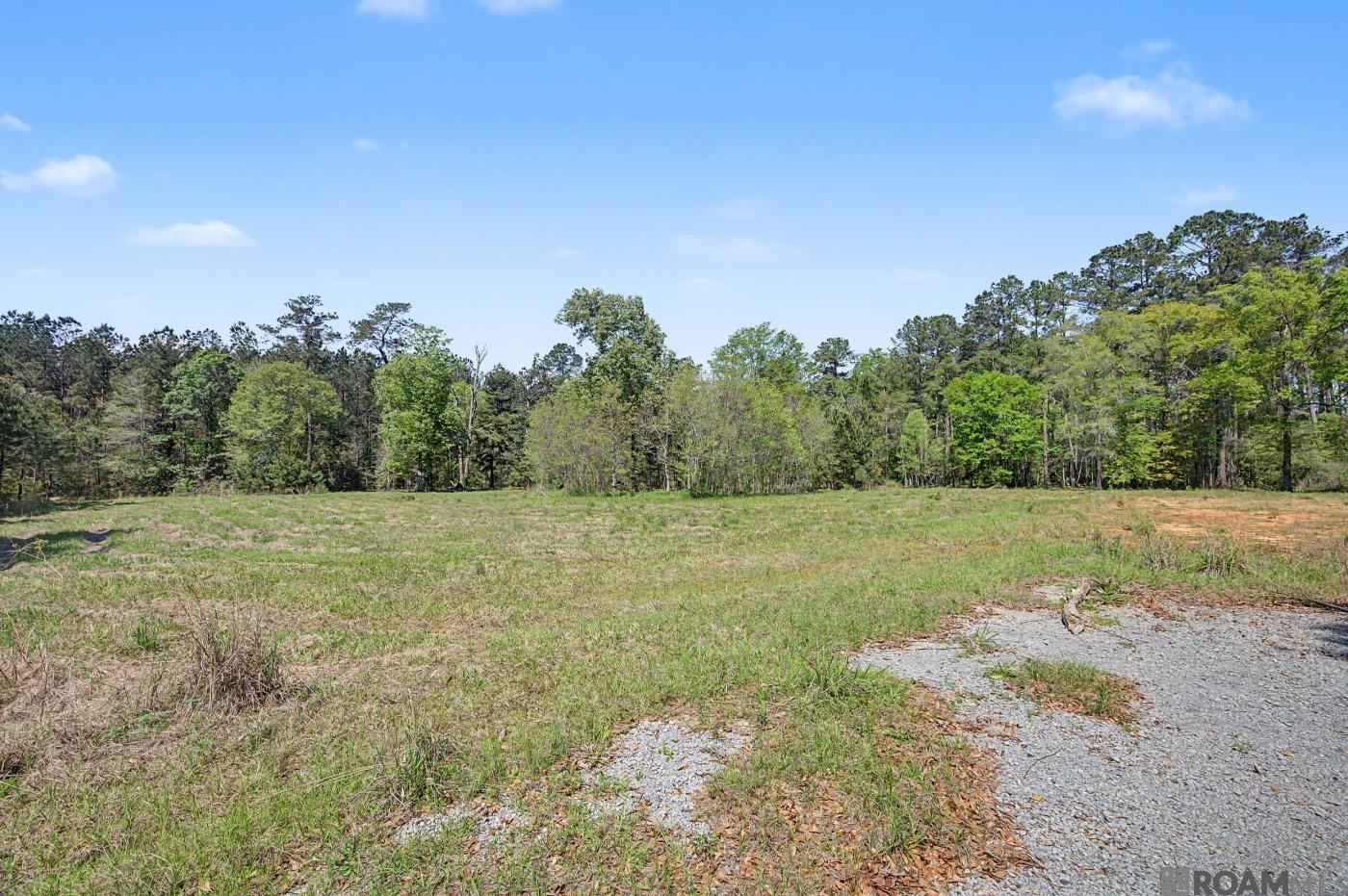 19779 Craig Mack Rd, Walker, LA, 70785