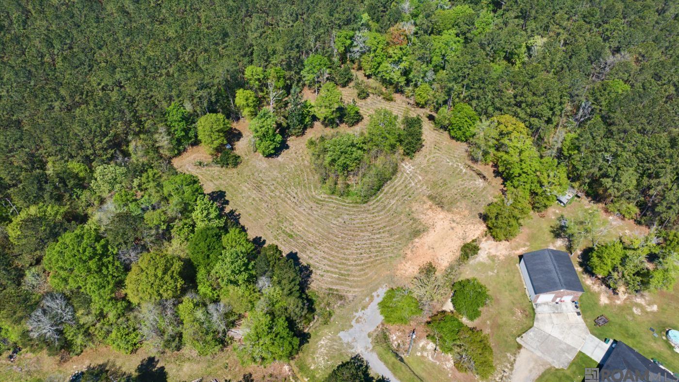 19779 Craig Mack Rd, Walker, LA, 70785