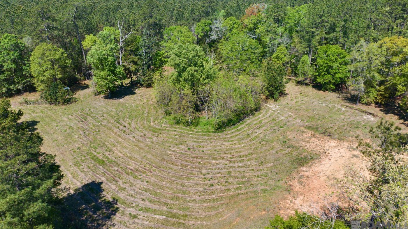 19779 Craig Mack Rd, Walker, LA, 70785