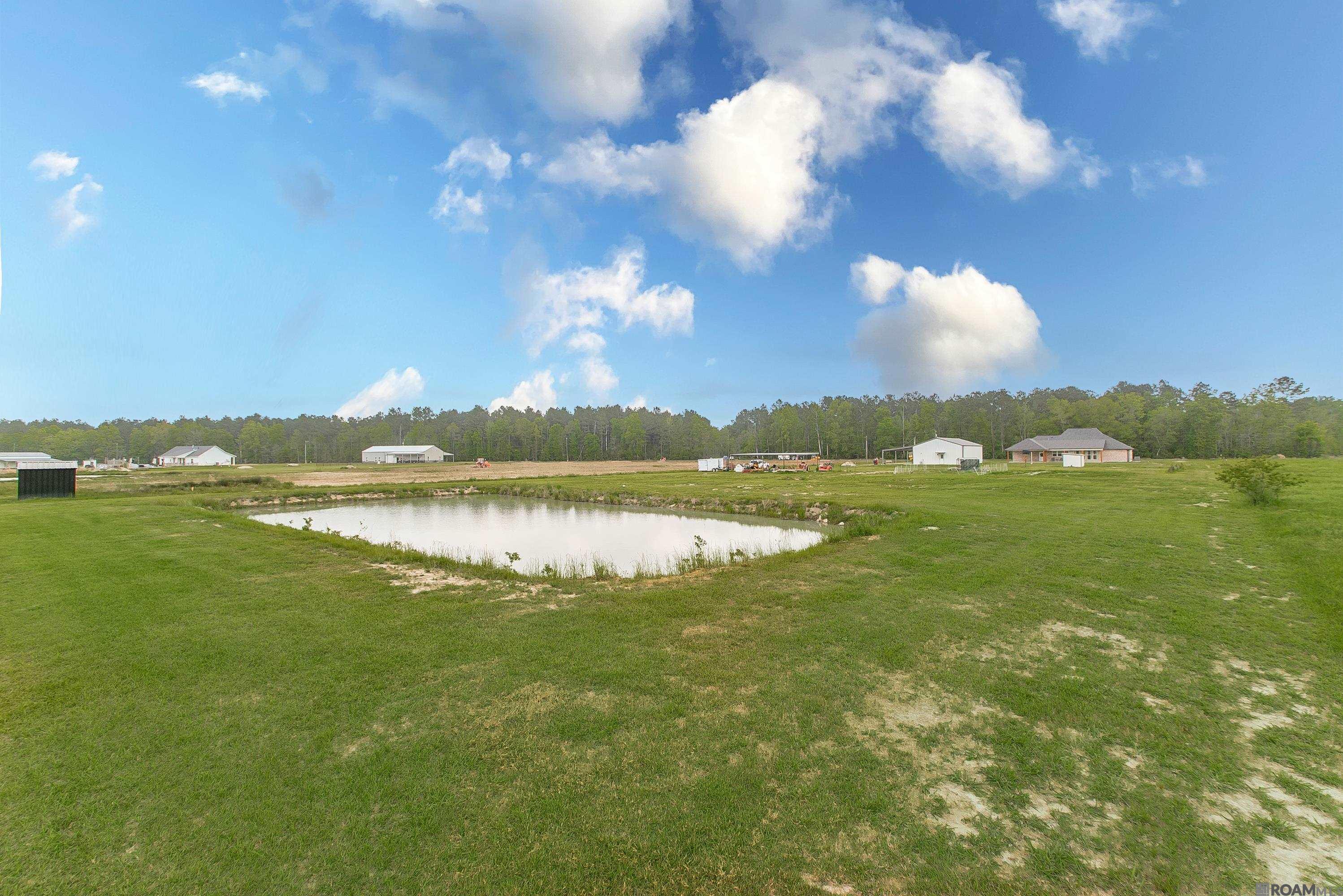 20204 Palmer Rd, Livingston, LA, 70754