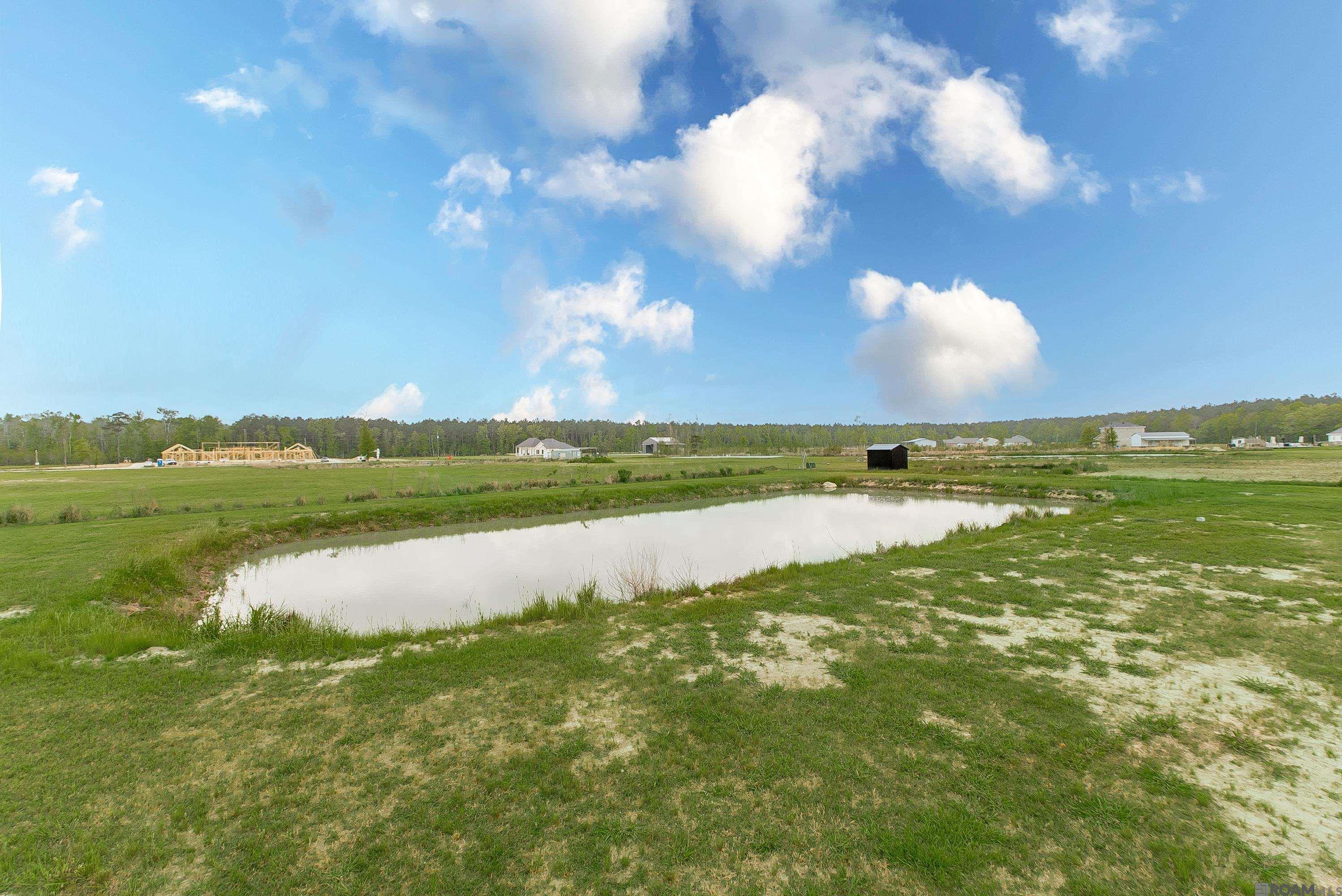 20204 Palmer Rd, Livingston, LA, 70754