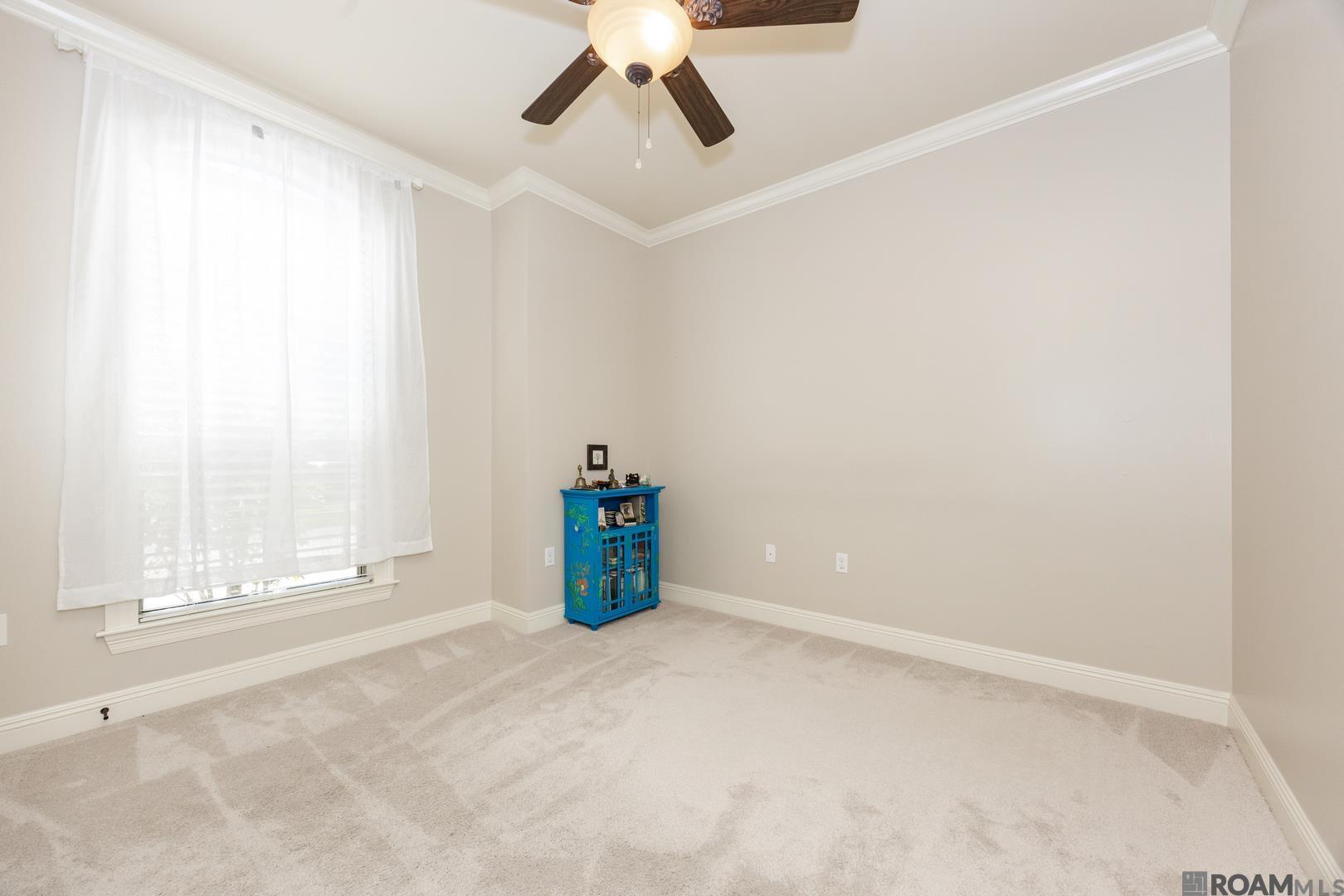 11165 Hillpark Ave, Baton Rouge, LA, 70810