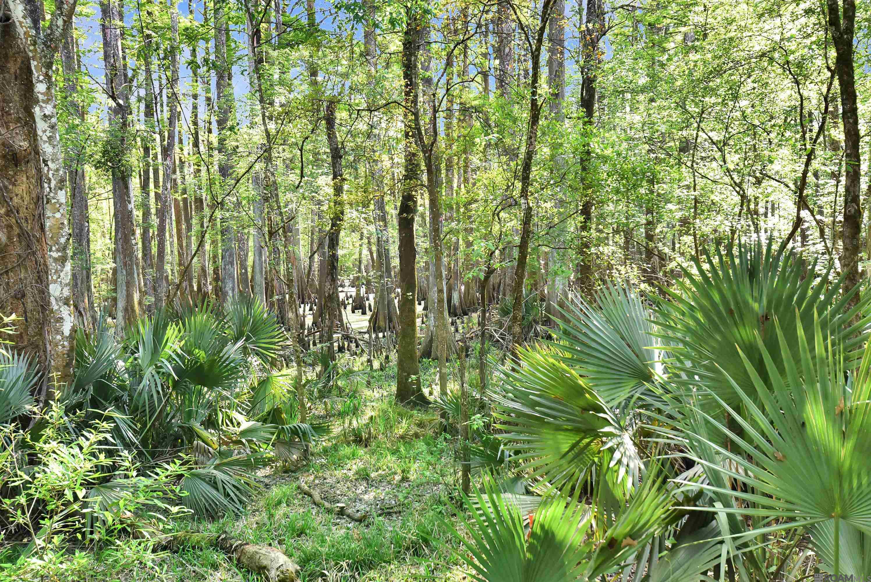 Lot 9 Unknown, Prairieville, LA, 70769