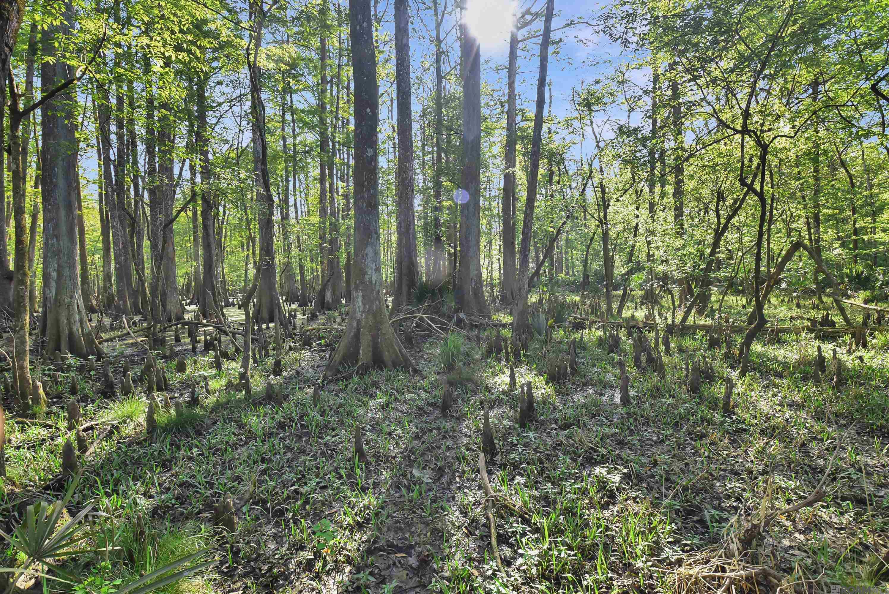 Lot 9 Unknown, Prairieville, LA, 70769