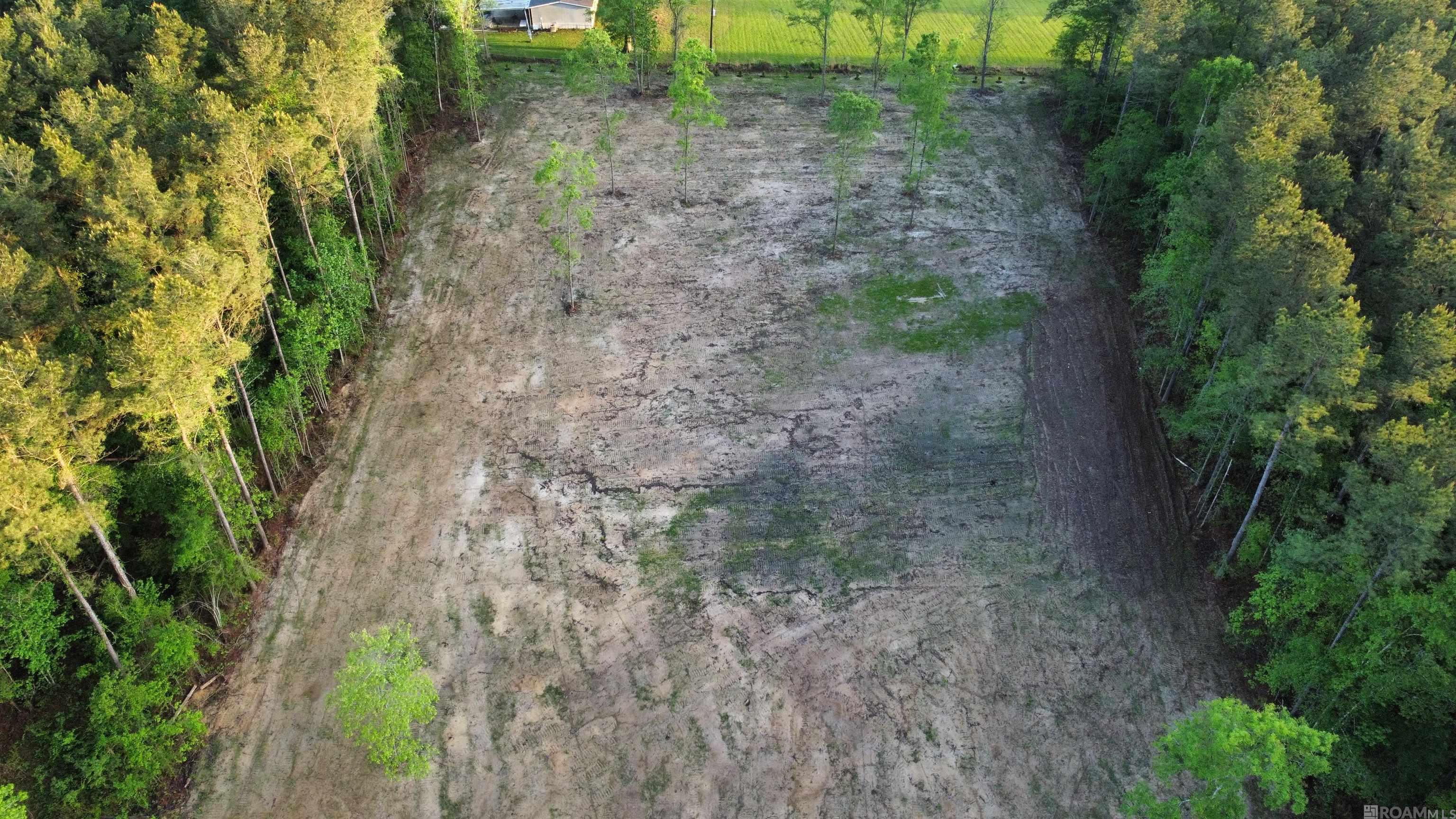 7054 Panama Manor Drive, Gonzales, LA, 70737