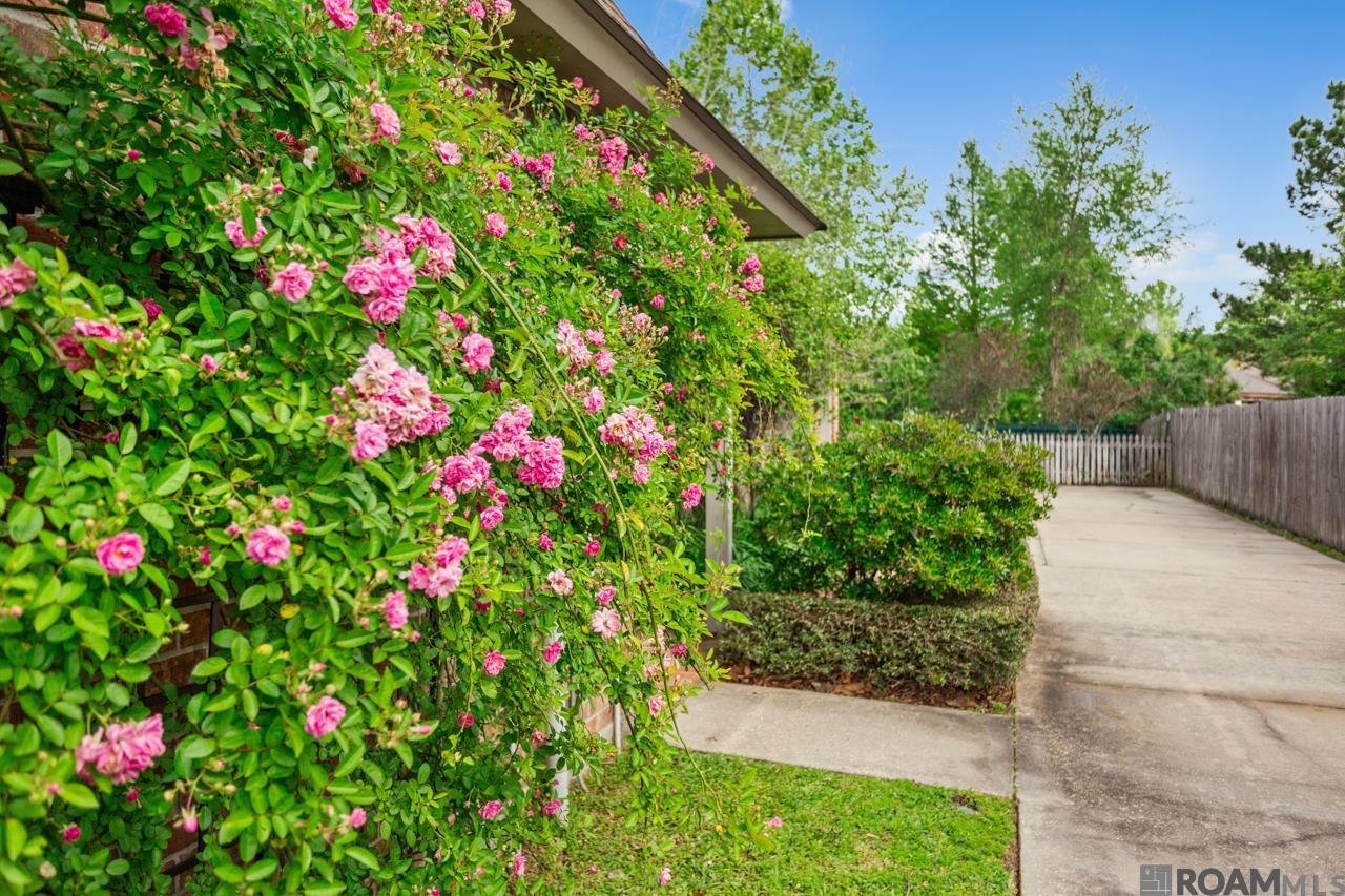 3838 Twelve Oaks Ave, Baton Rouge, LA, 70820