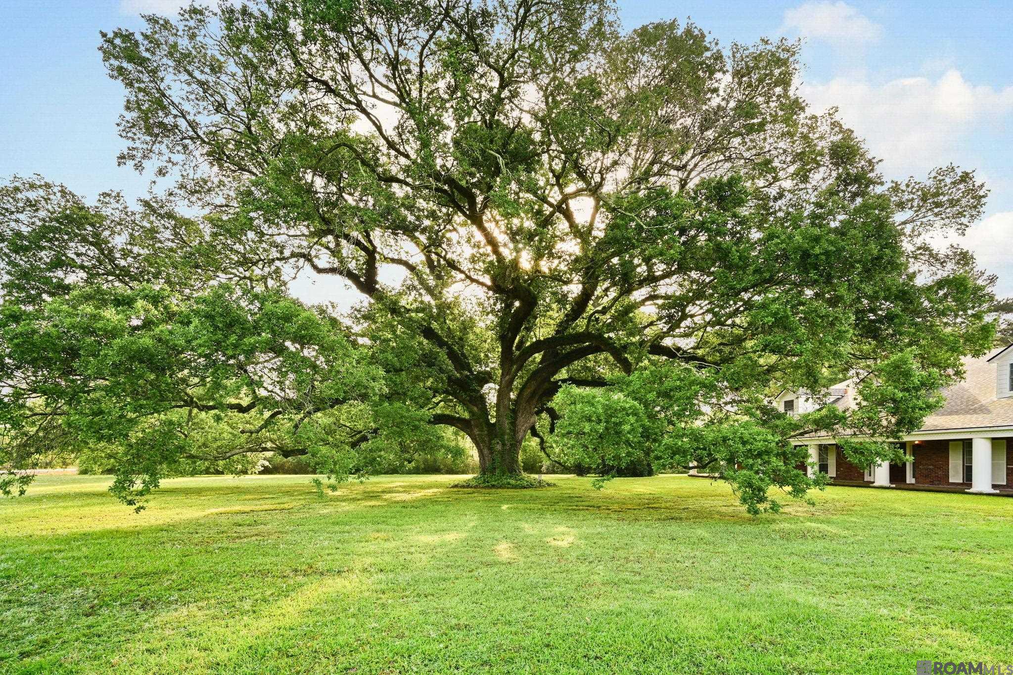 38517 La Hwy 74, Gonzales, LA, 70737