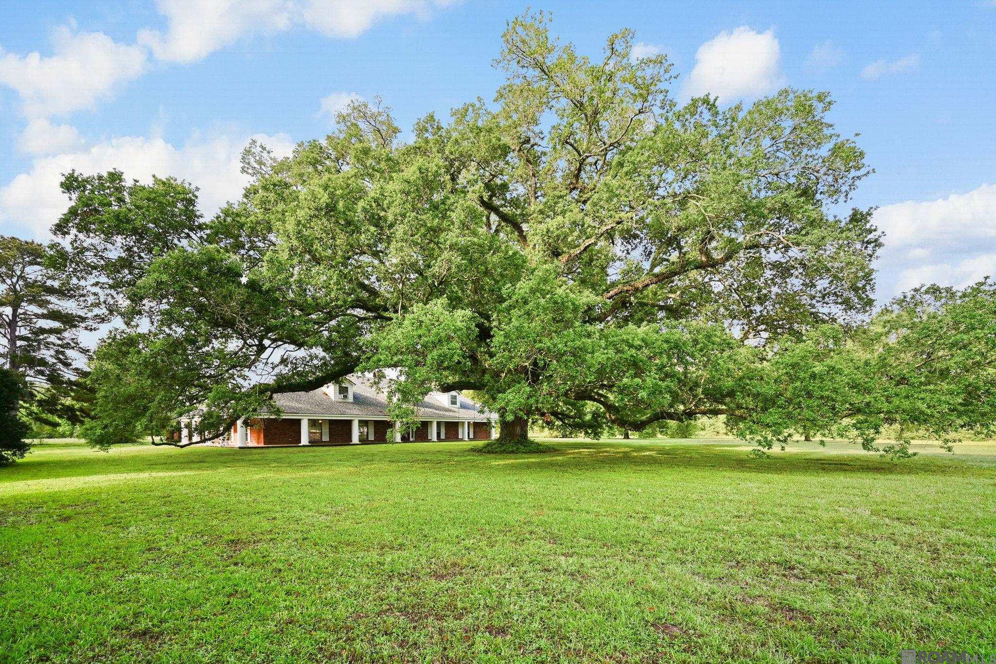 38517 La Hwy 74, Gonzales, LA, 70737