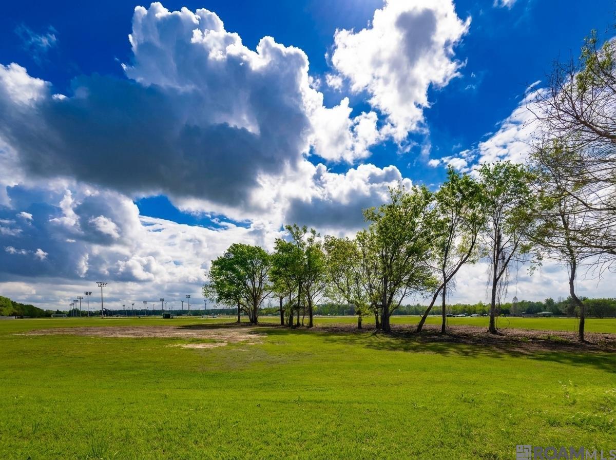 10808 Hillbrook Ave, Baton Rouge, LA, 70810