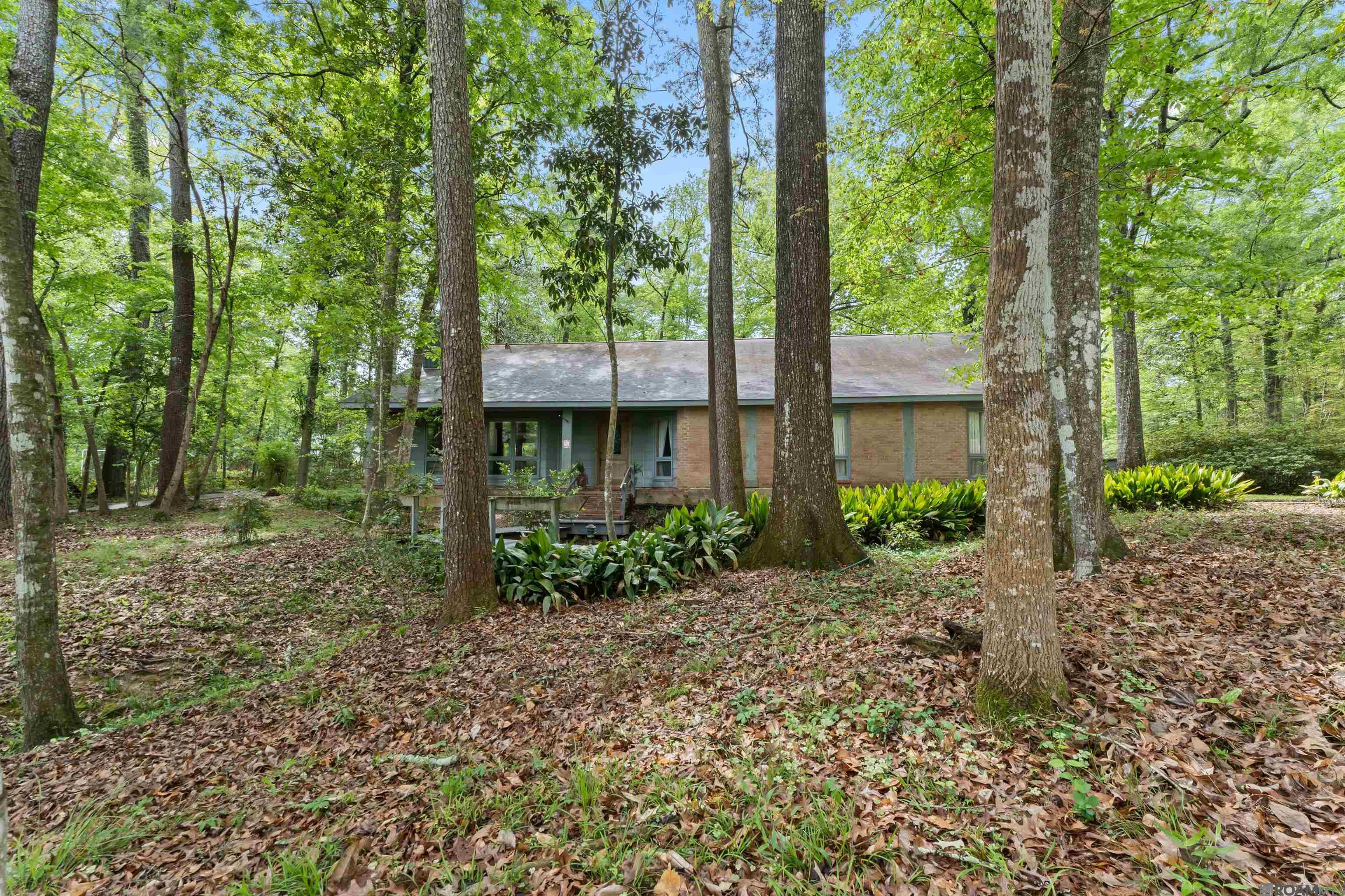 19648 Deer Park Ave, Baton Rouge, LA, 70817