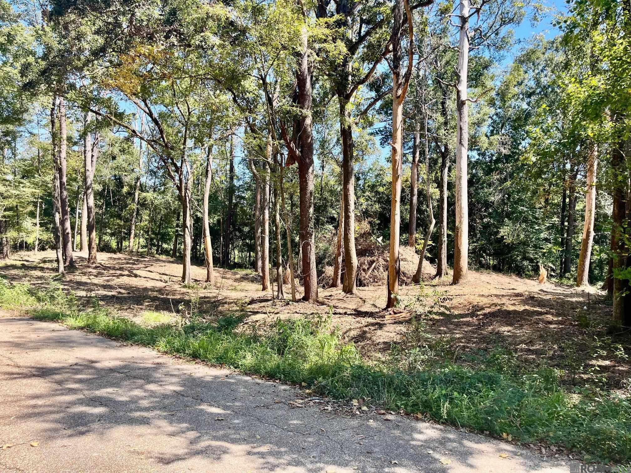 16114 Chaumont Ave, Central, LA, 70739