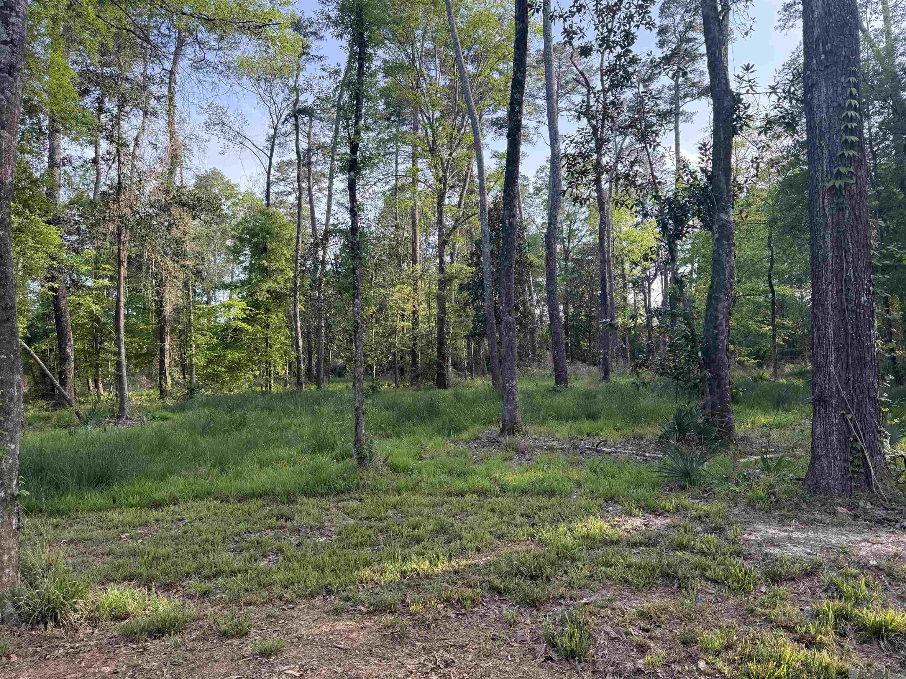 154 Bayou Blue Bypass Rd, Gray, LA, 70359