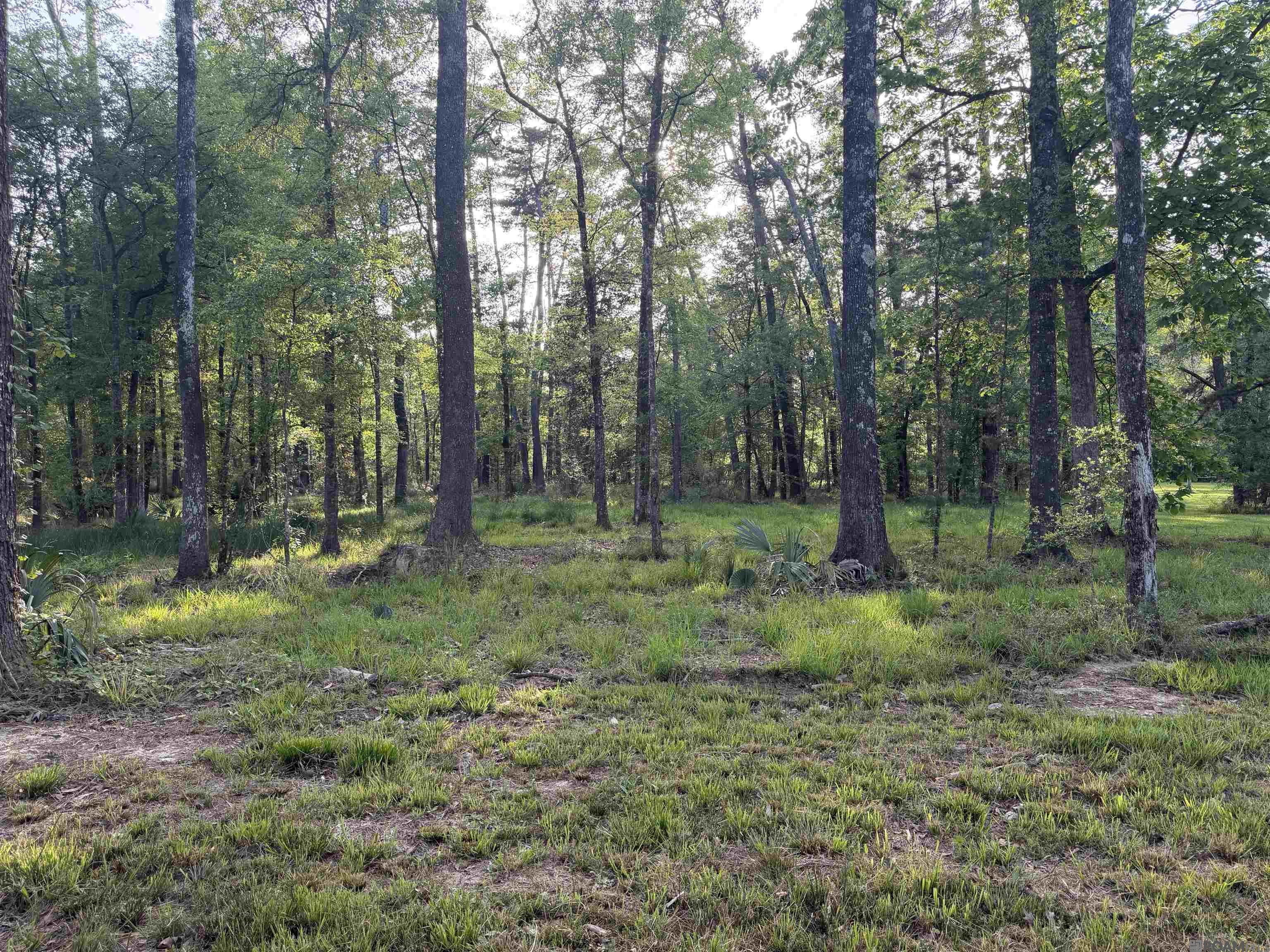 1-B-2-A-4 Clinton Allen Rd, Denham Springs, LA, 70706