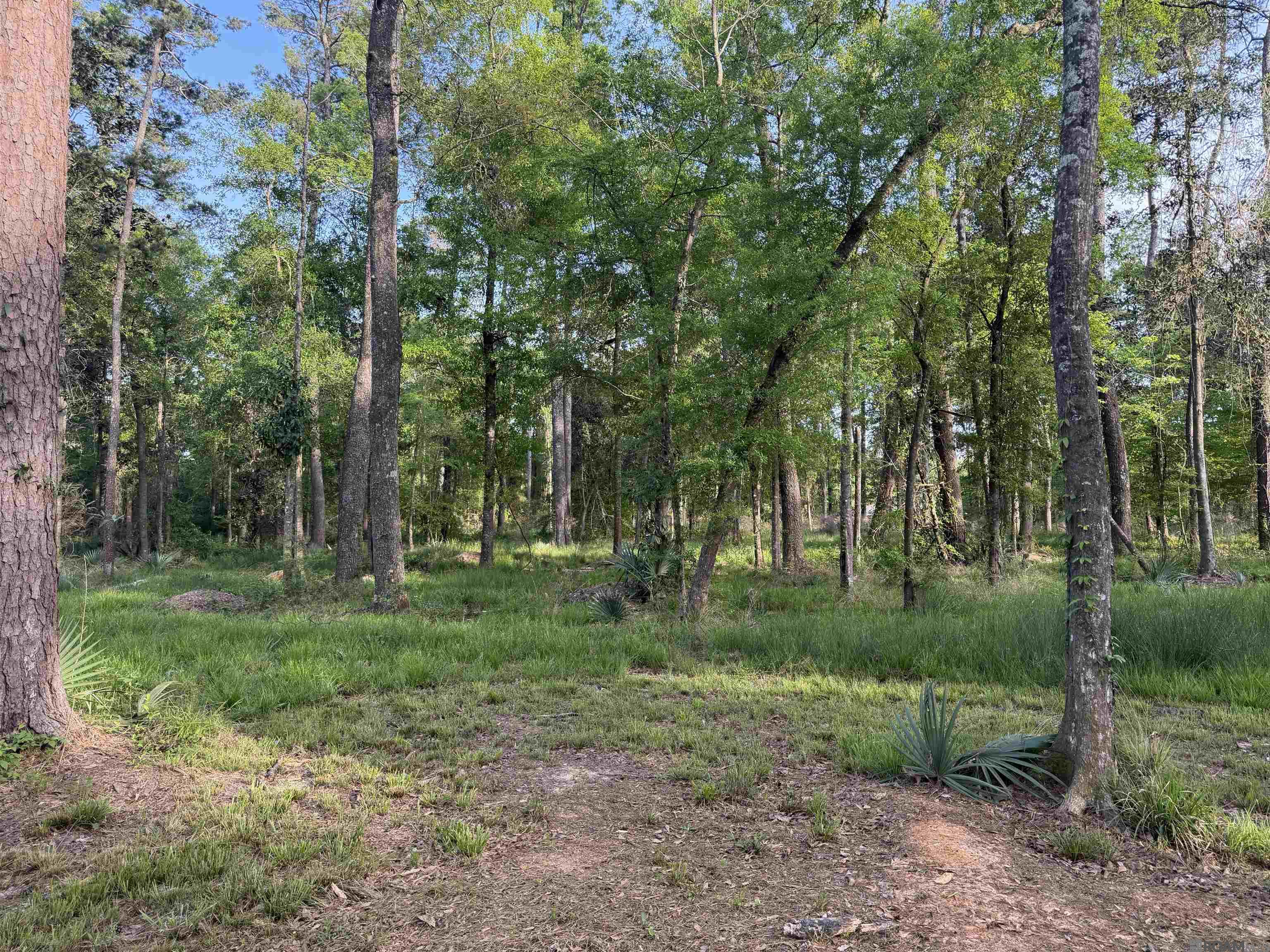 1-B-2-A-4 Clinton Allen Rd, Denham Springs, LA, 70706