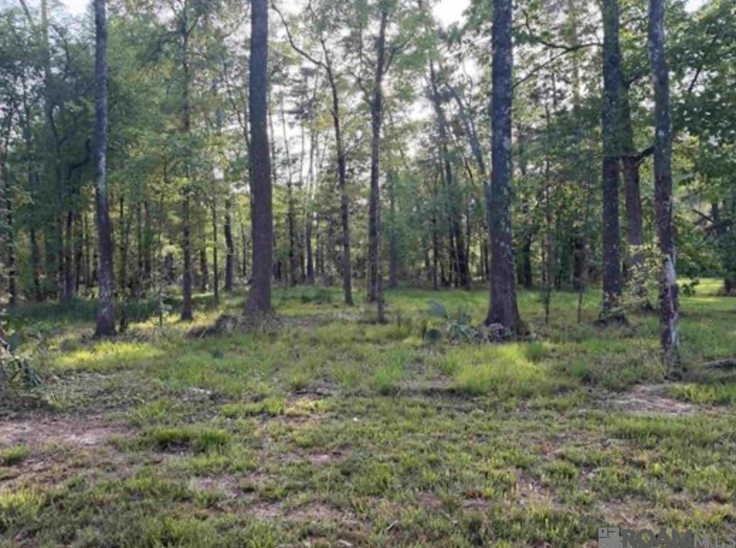 1-B-2-A-4 Clinton Allen Rd, Denham Springs, LA, 70706